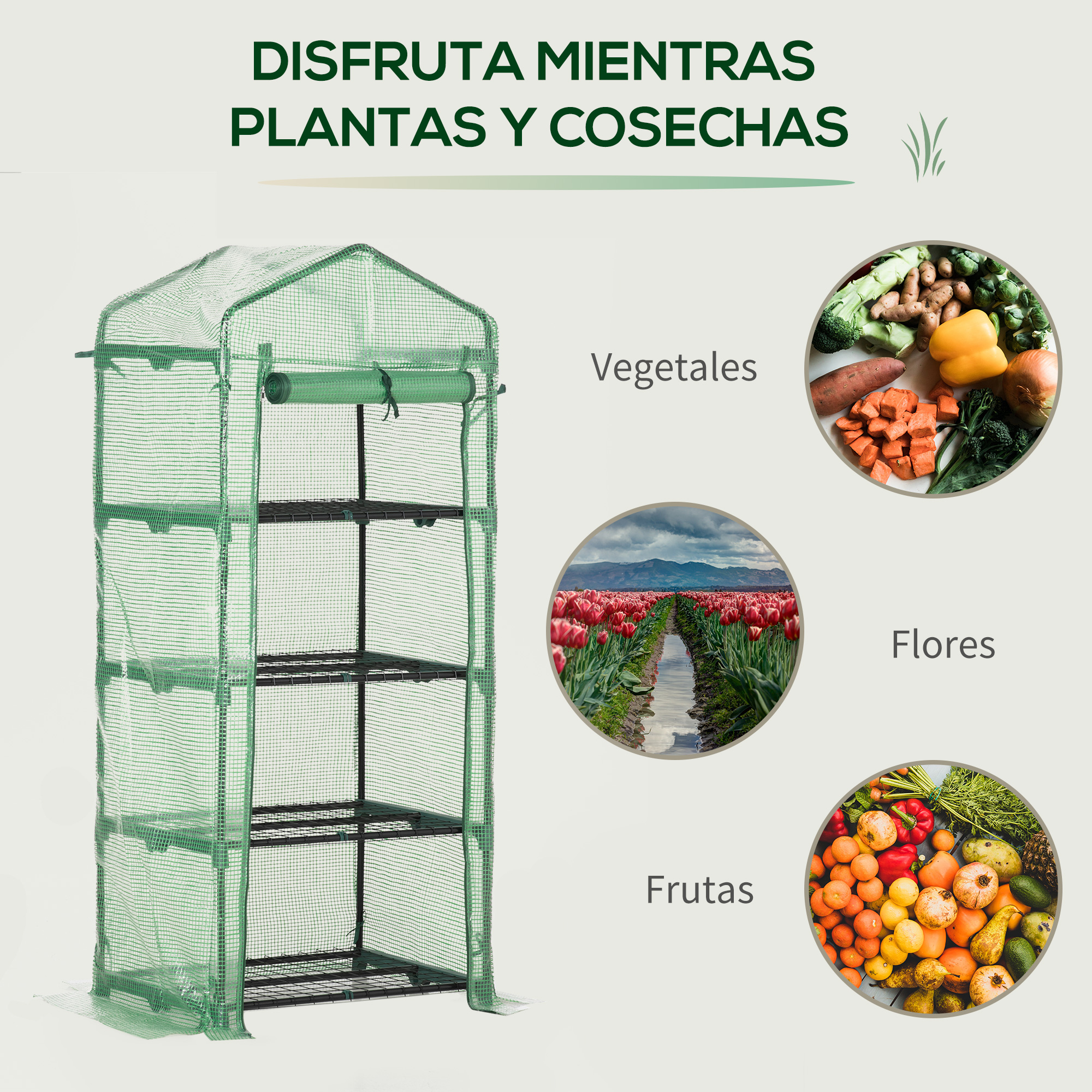 Un invernadero verde con varios estantes, al lado hay imágenes de verduras, flores y frutas.