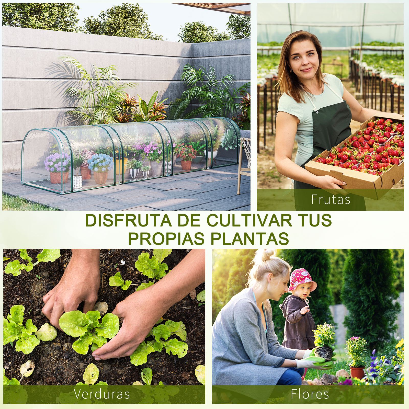 Cuatro escenas: invernadero, fresas, plantando y flores.