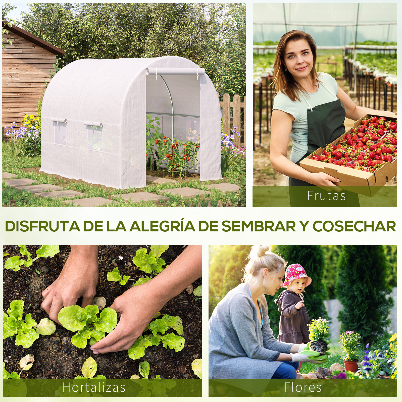Un collage de jardín con invernadero, fresas, plantación y una mujer con niño.
