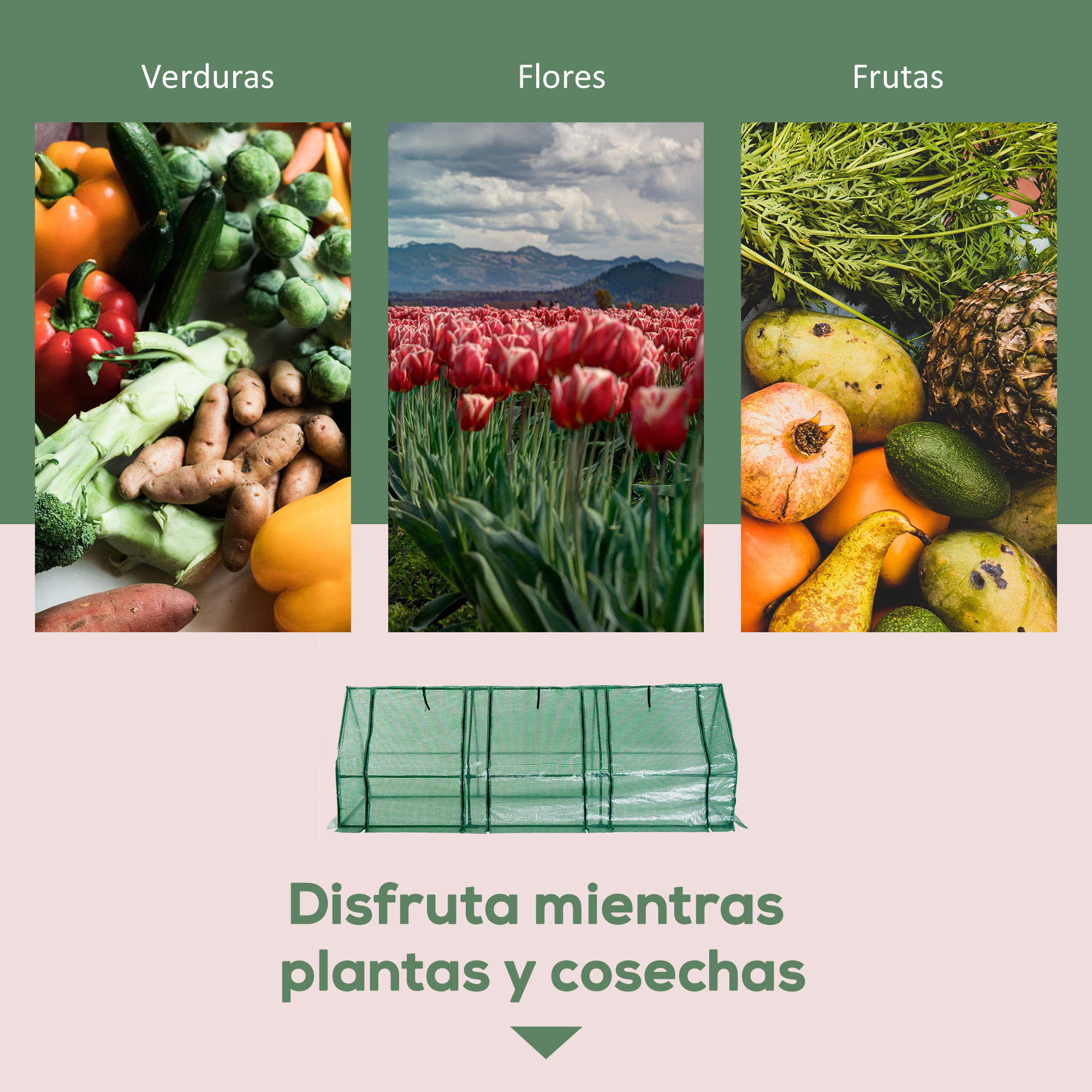 Collage de verduras, flores y frutas. Un invernadero verde debajo.
