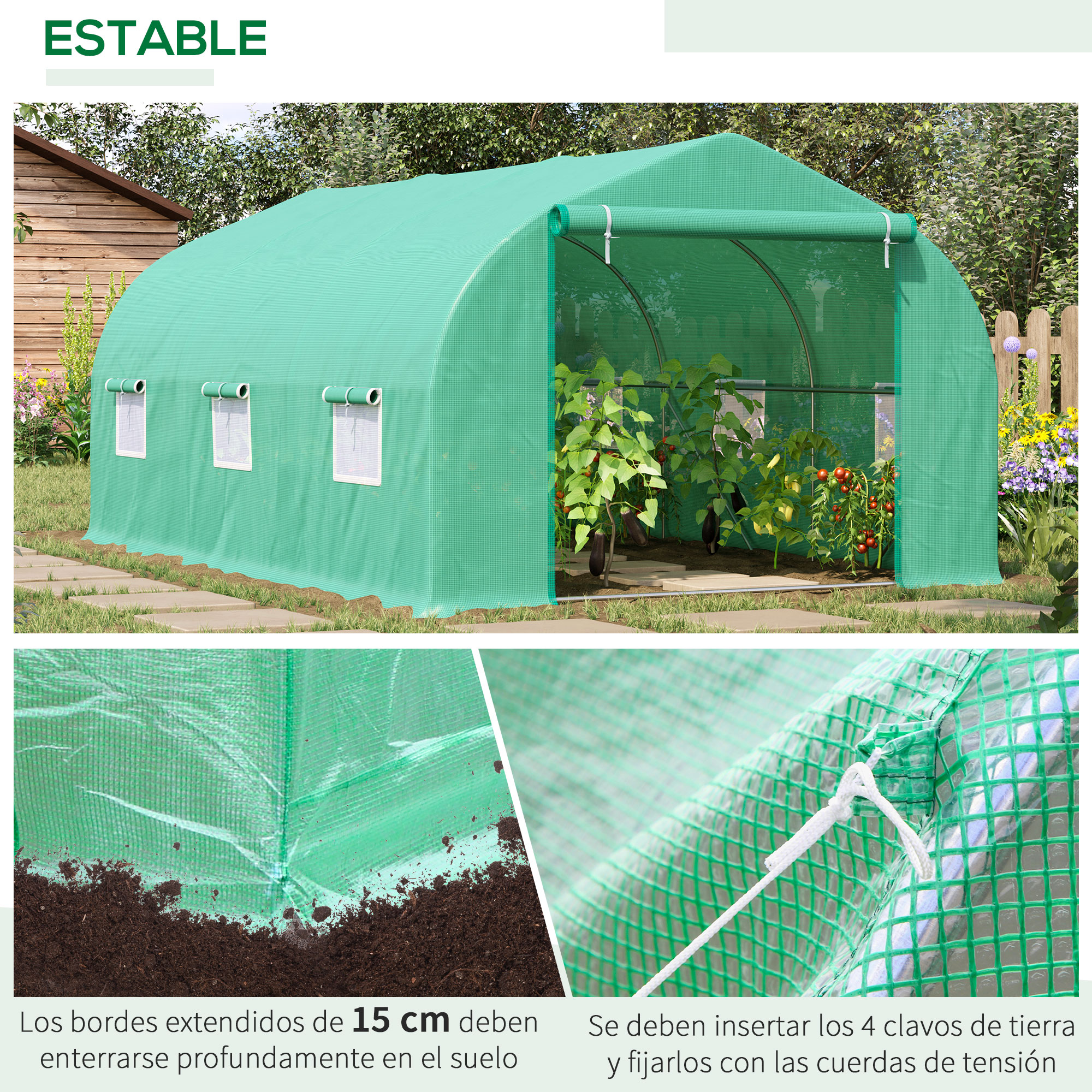 Un invernadero verde con tomates y berenjenas, junto a un cobertizo de madera.