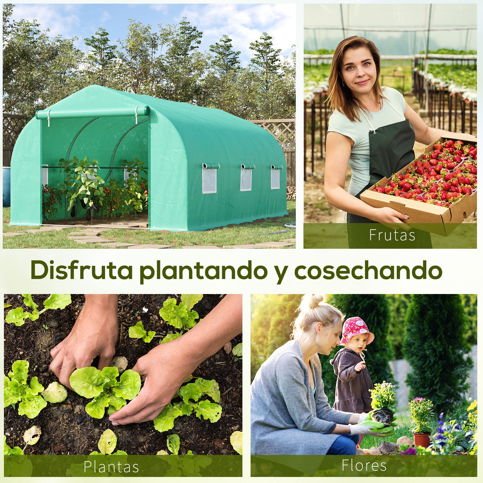 Un invernadero con plantas, una mujer con fresas, manos plantando lechugas y una mujer con un niño.