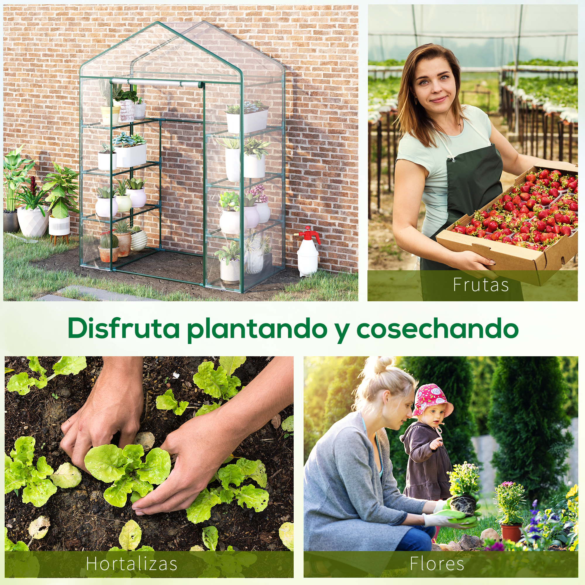 Cuatro escenas de jardín: invernadero, mujer con fresas, manos plantando lechuga, mujer con niño.