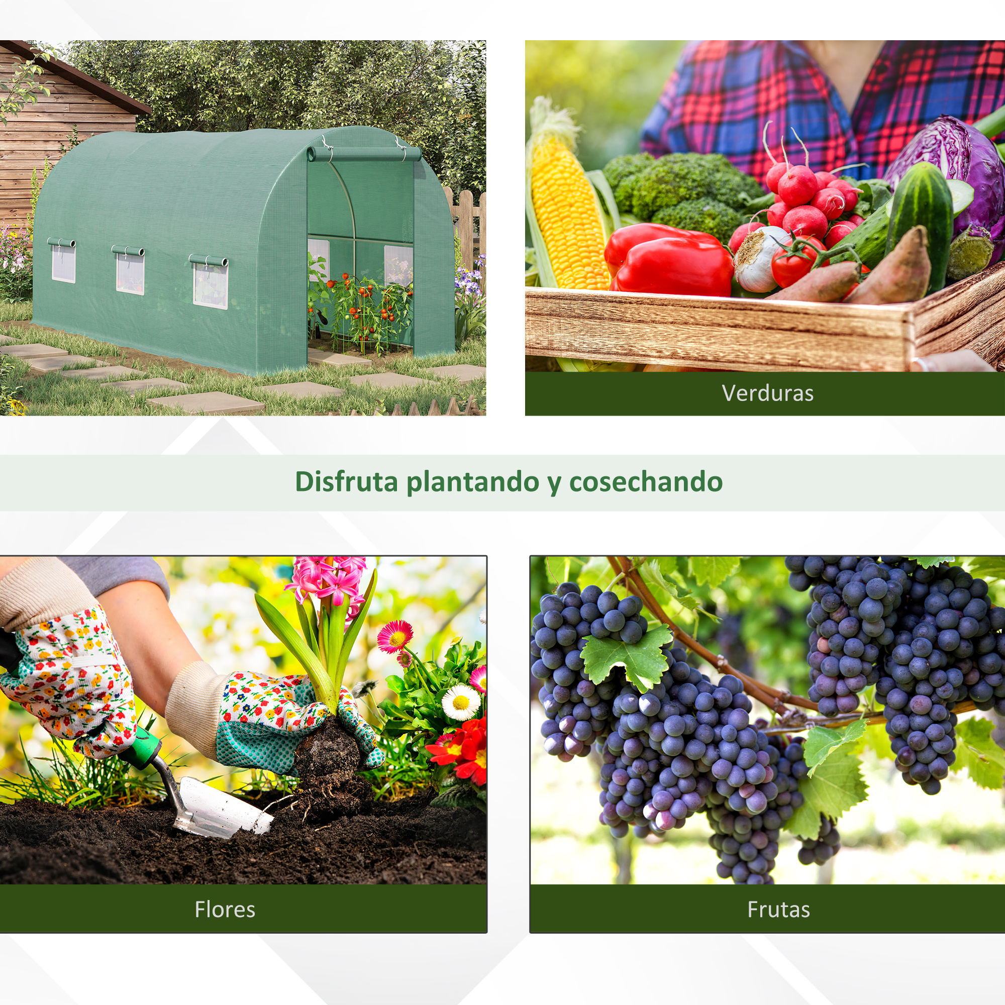 Un invernadero verde en un jardín, junto a una caja de verduras, manos plantando flores y uvas colgando de una vid.