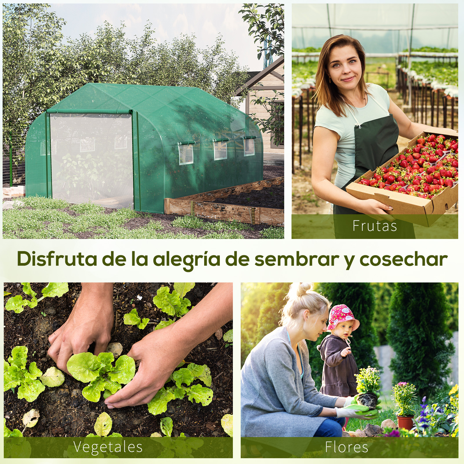 Un invernadero, una mujer con fresas, manos plantando lechuga y una mujer con un niño.