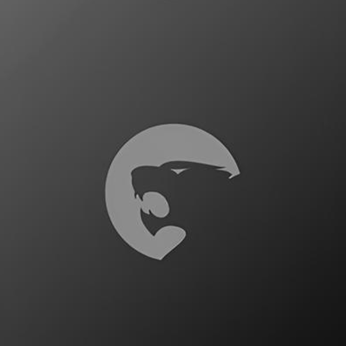 Logo grigio di una testa di leone su sfondo scuro.