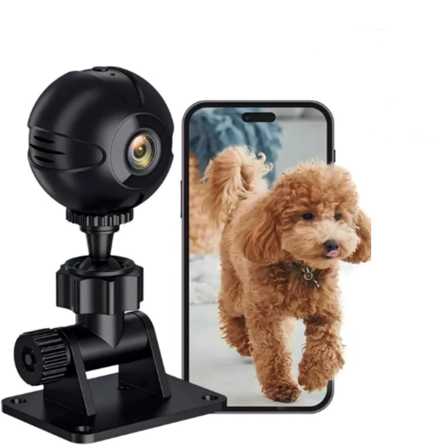 Schwarze Überwachungskamera neben einem Smartphone mit Hund.