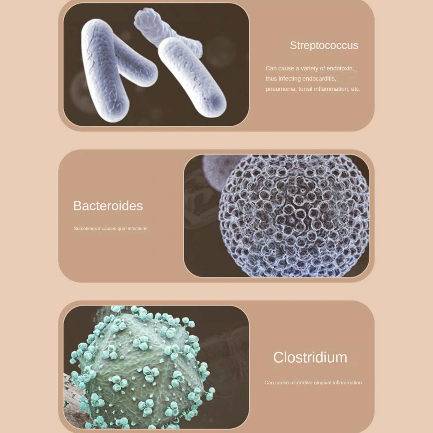 Drei Bilder von Bakterien: Streptococcus, Bacteroides und Clostridium.