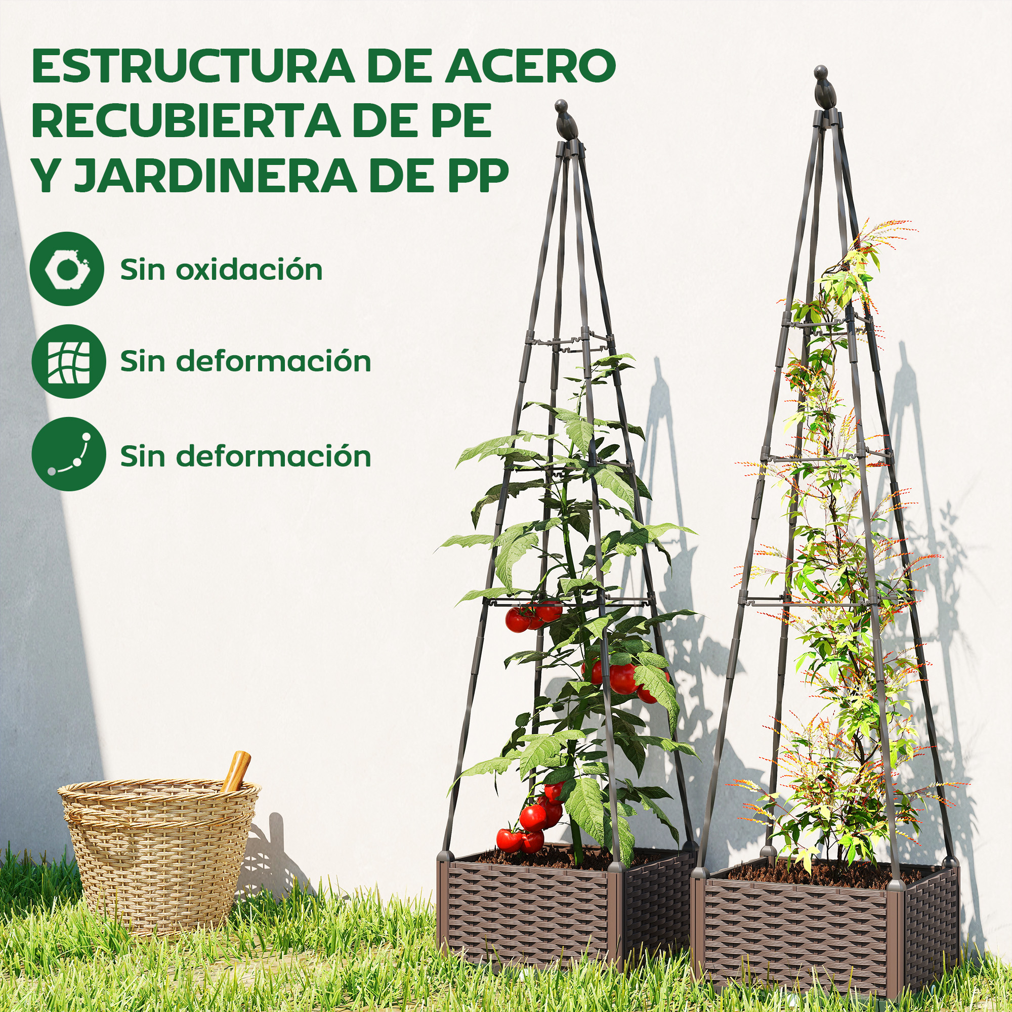 Dos jaulas para plantas con plantas, una con tomates. Una cesta de mimbre cerca.