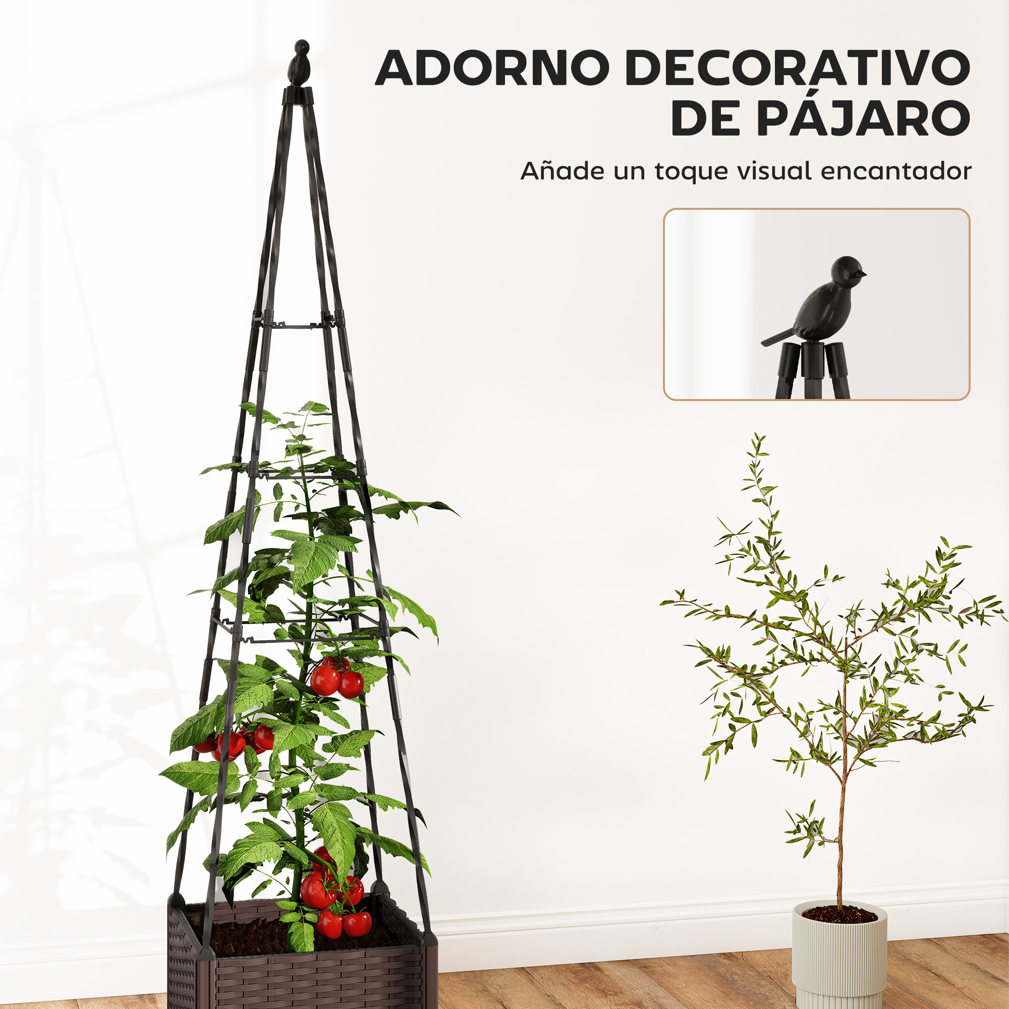 Un pájaro negro sobre un marco negro, junto a una planta de tomate con frutos rojos.