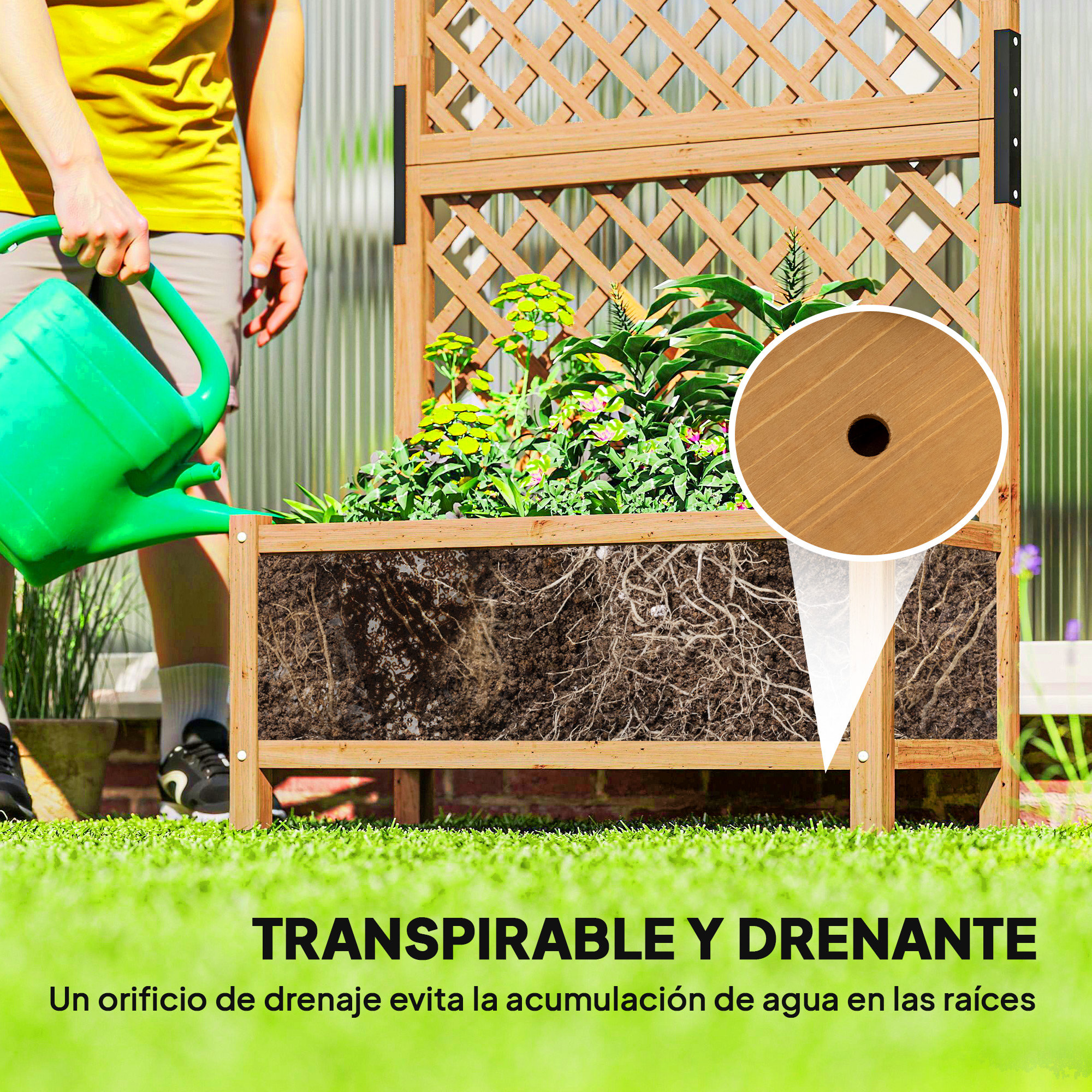 Hombre riega plantas en jardinera de madera con raíces visibles. Agujero.