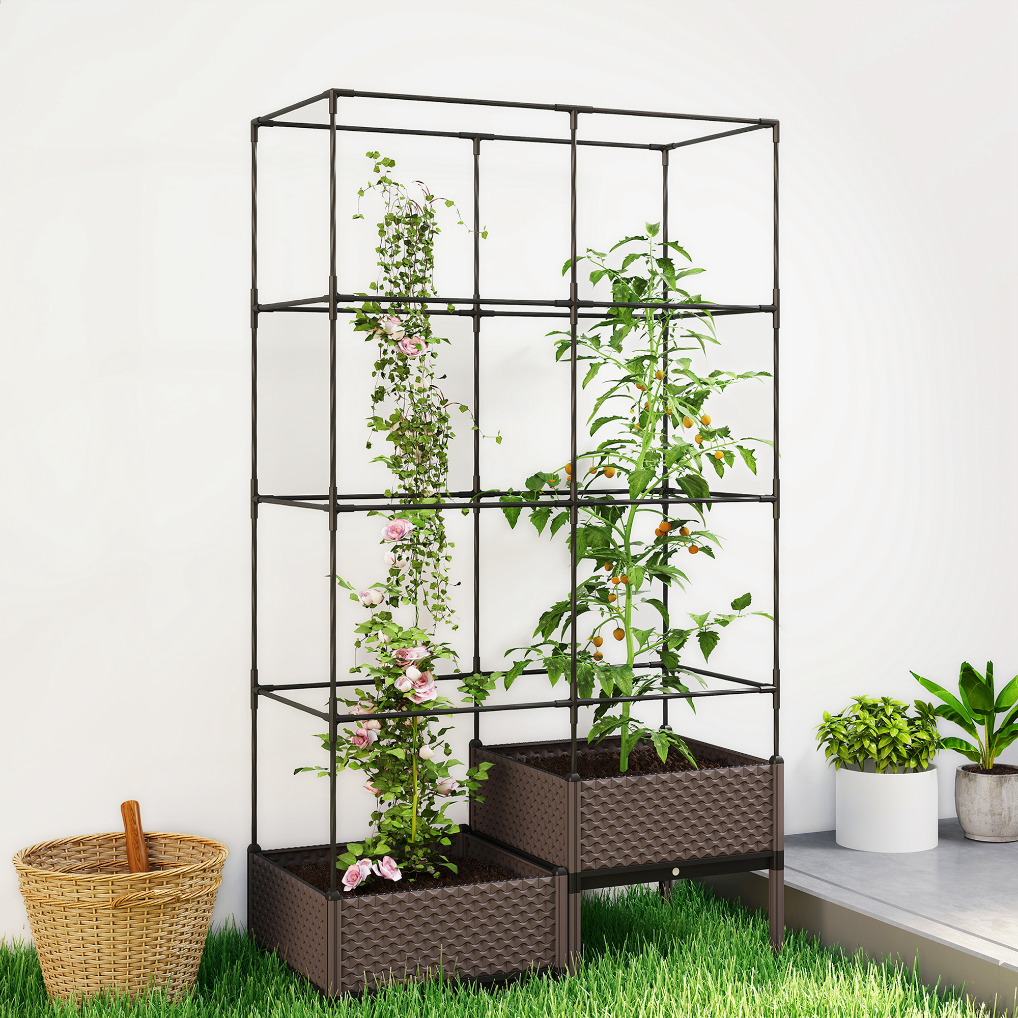 Una celosía oscura con rosas y plantas de tomate, al lado una cesta.
