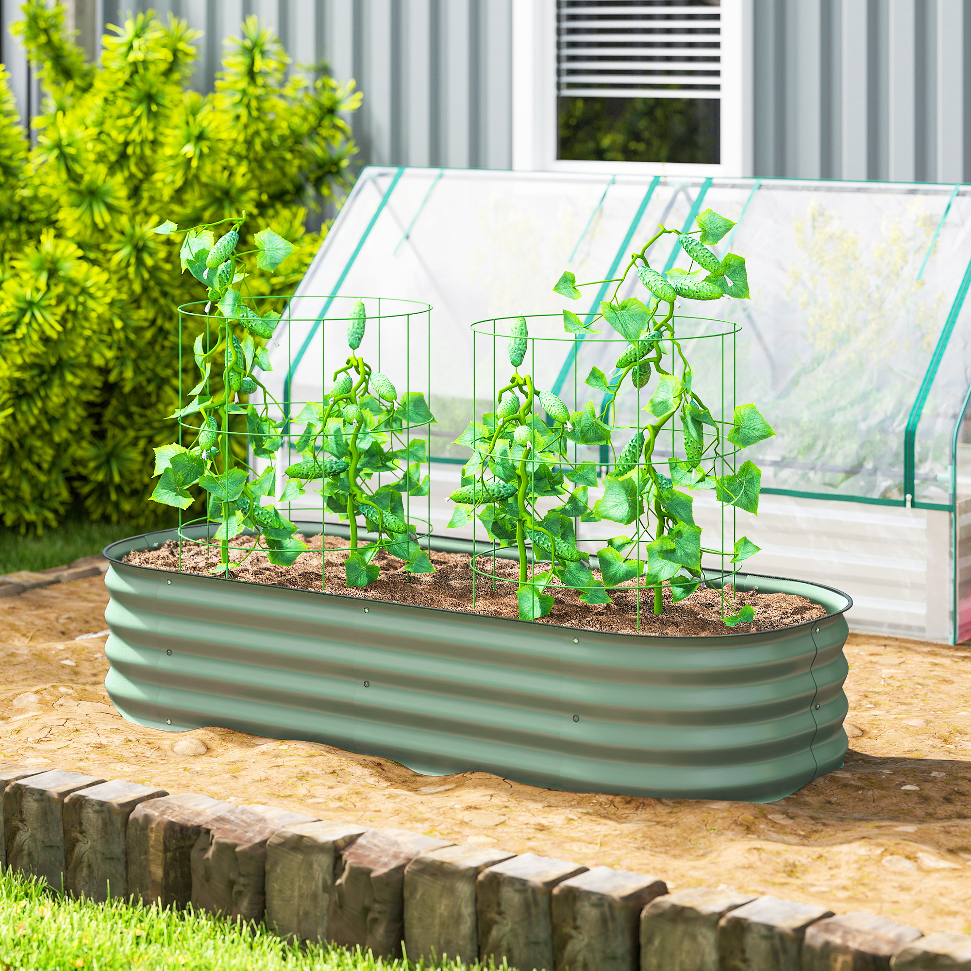 Un bancal elevado verde con plantas de pepino y enrejados, junto a un invernadero.