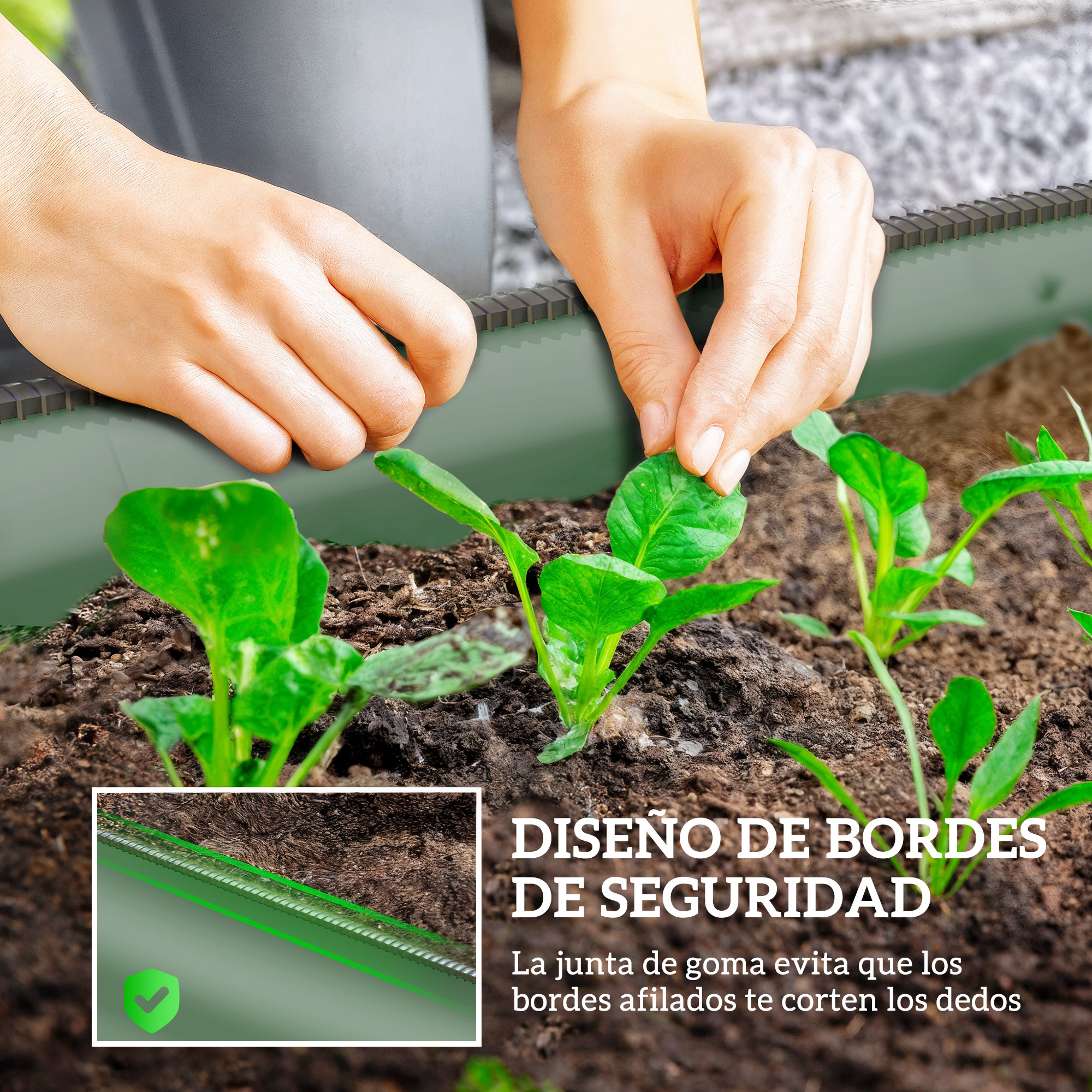 Manos plantando plantas jóvenes en tierra. Se ve un borde con sello de goma.
