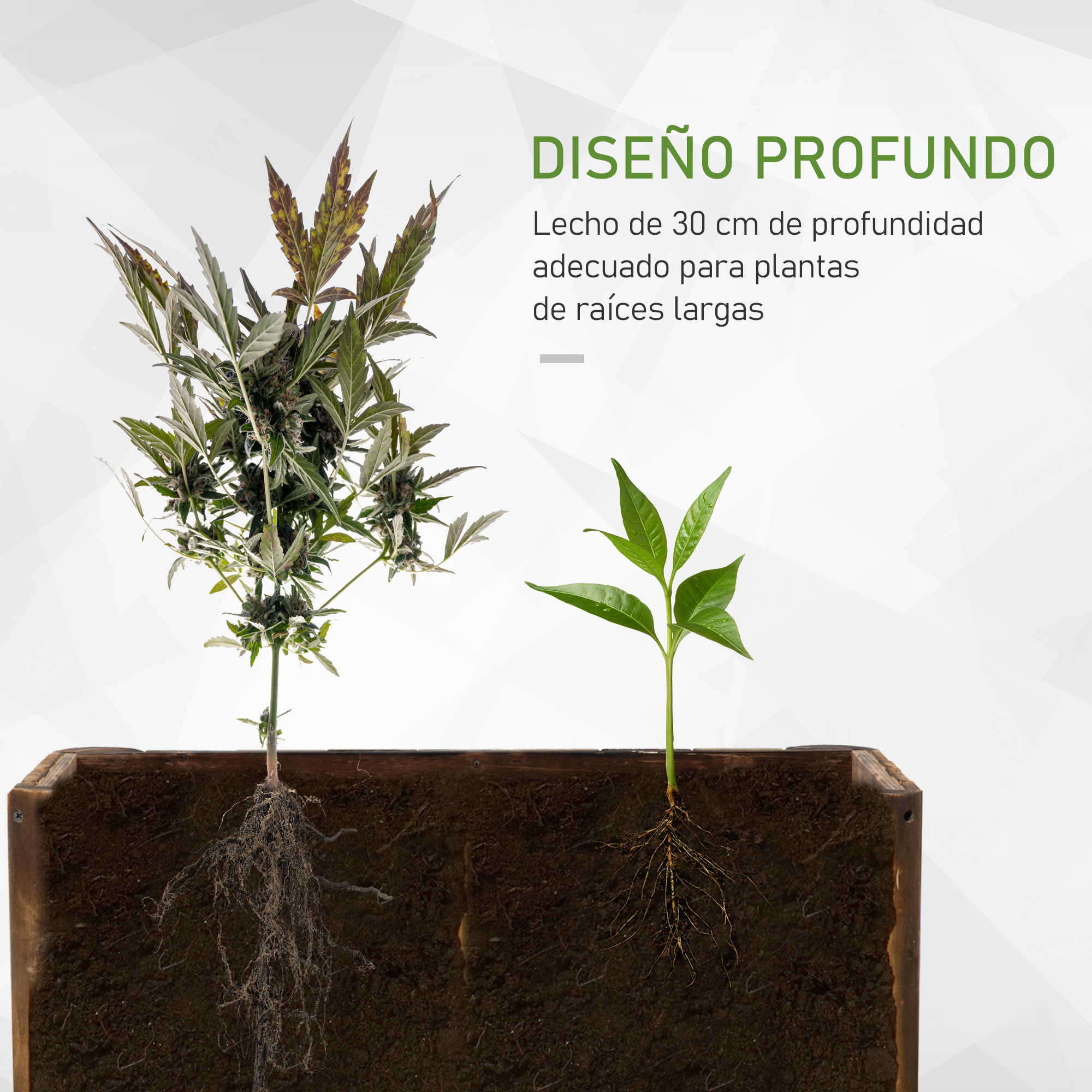 Un semillero profundo con dos plantas y raíces visibles en tierra.