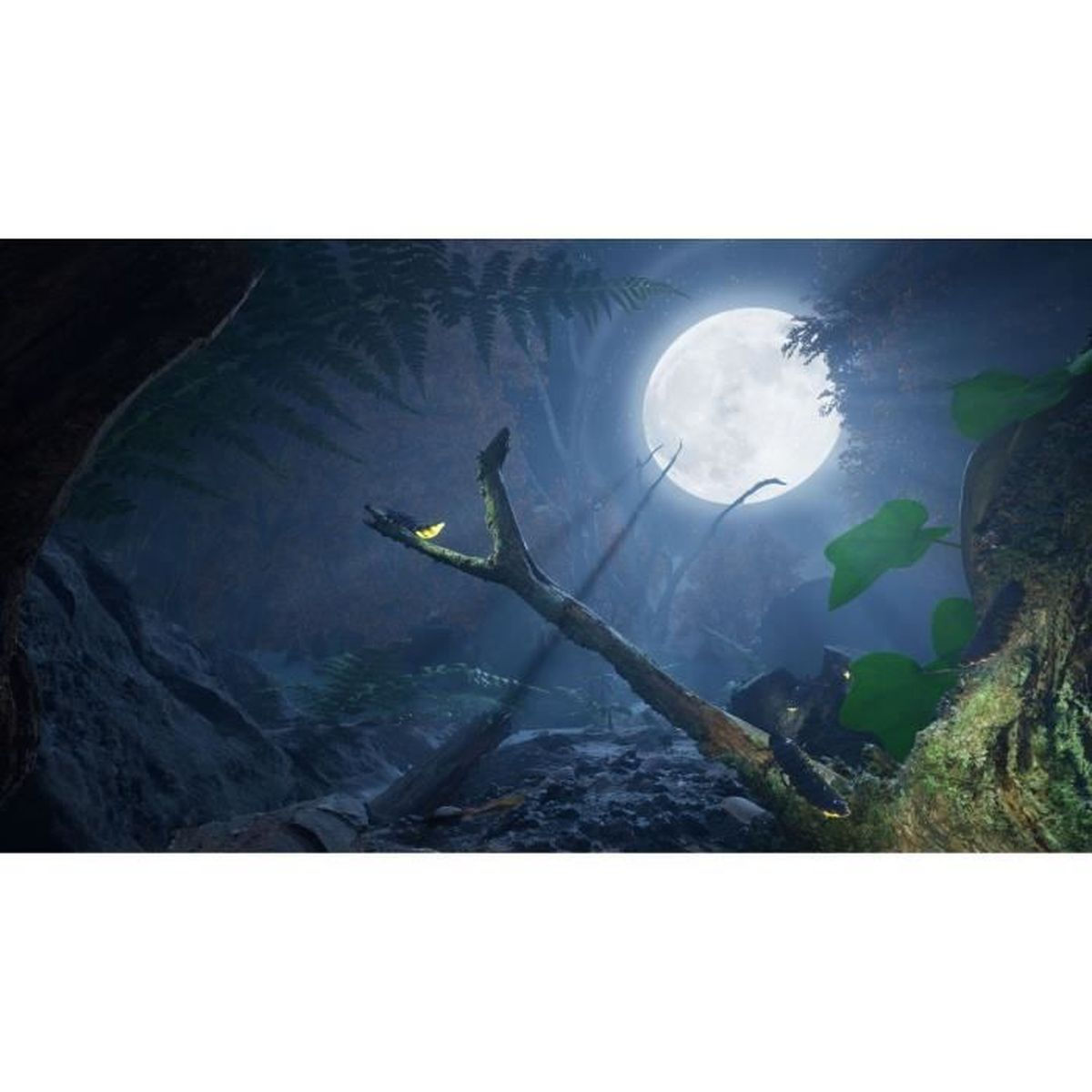 Un ramo d'albero con un piccolo scarabeo giallo al chiaro di luna.