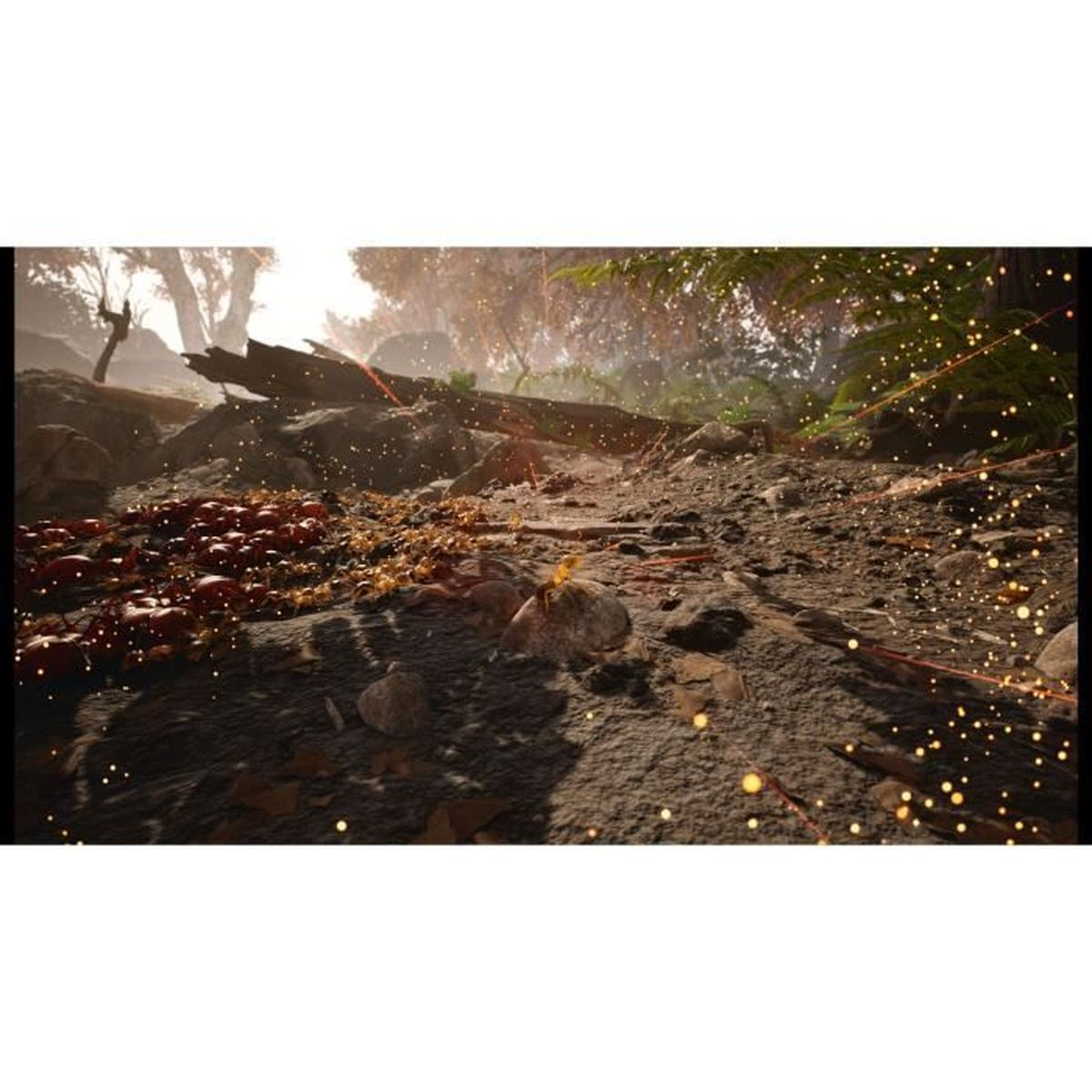 Pavimento della foresta con funghi, legno e luci scintillanti.