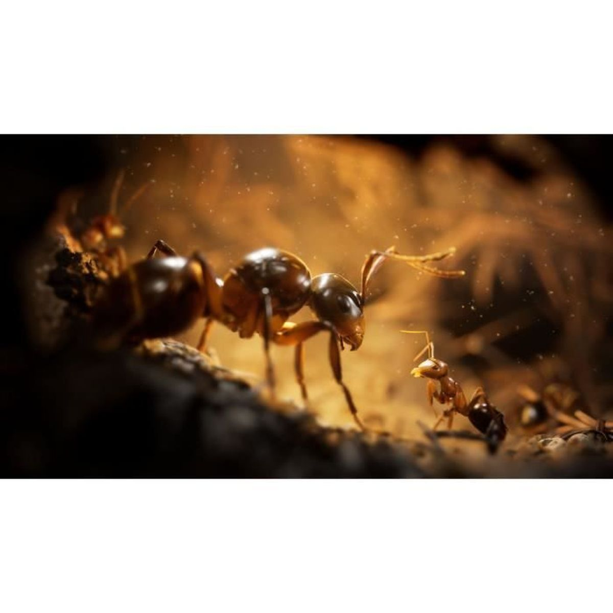 Tre formiche su un ramo alla luce del sole. Particelle di polvere fluttuano nell'aria.