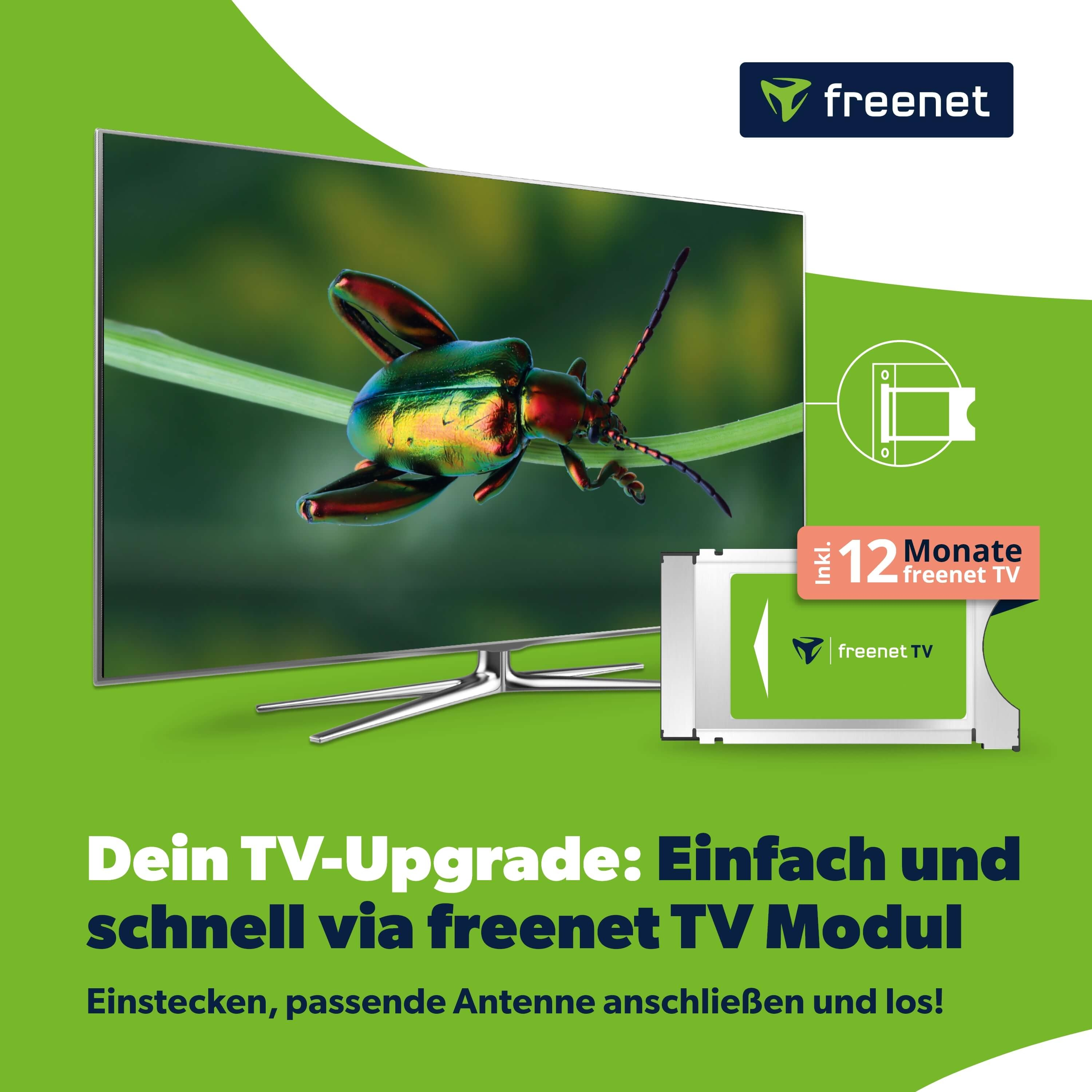 Ein freenet TV Modul mit 12 Monaten gratis auf einem Fernseher mit Käfer-Motiv.