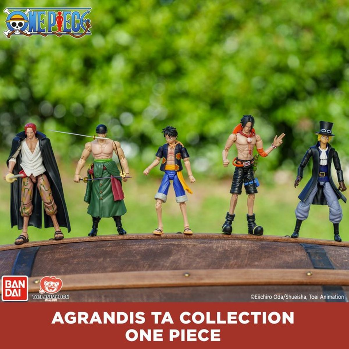 Fünf One Piece Actionfiguren stehen auf einer Truhe vor grünem Hintergrund.