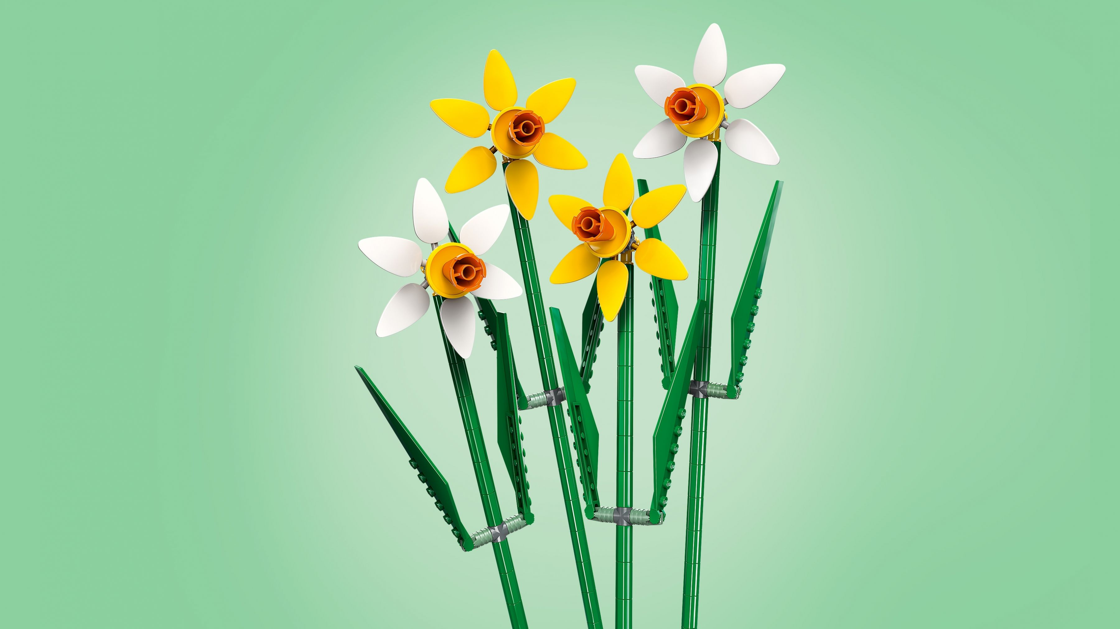 Vier Tulpen aus LEGO-Steinen in Weiß und Gelb mit grünen Stielen auf hellgrünem Hintergrund.