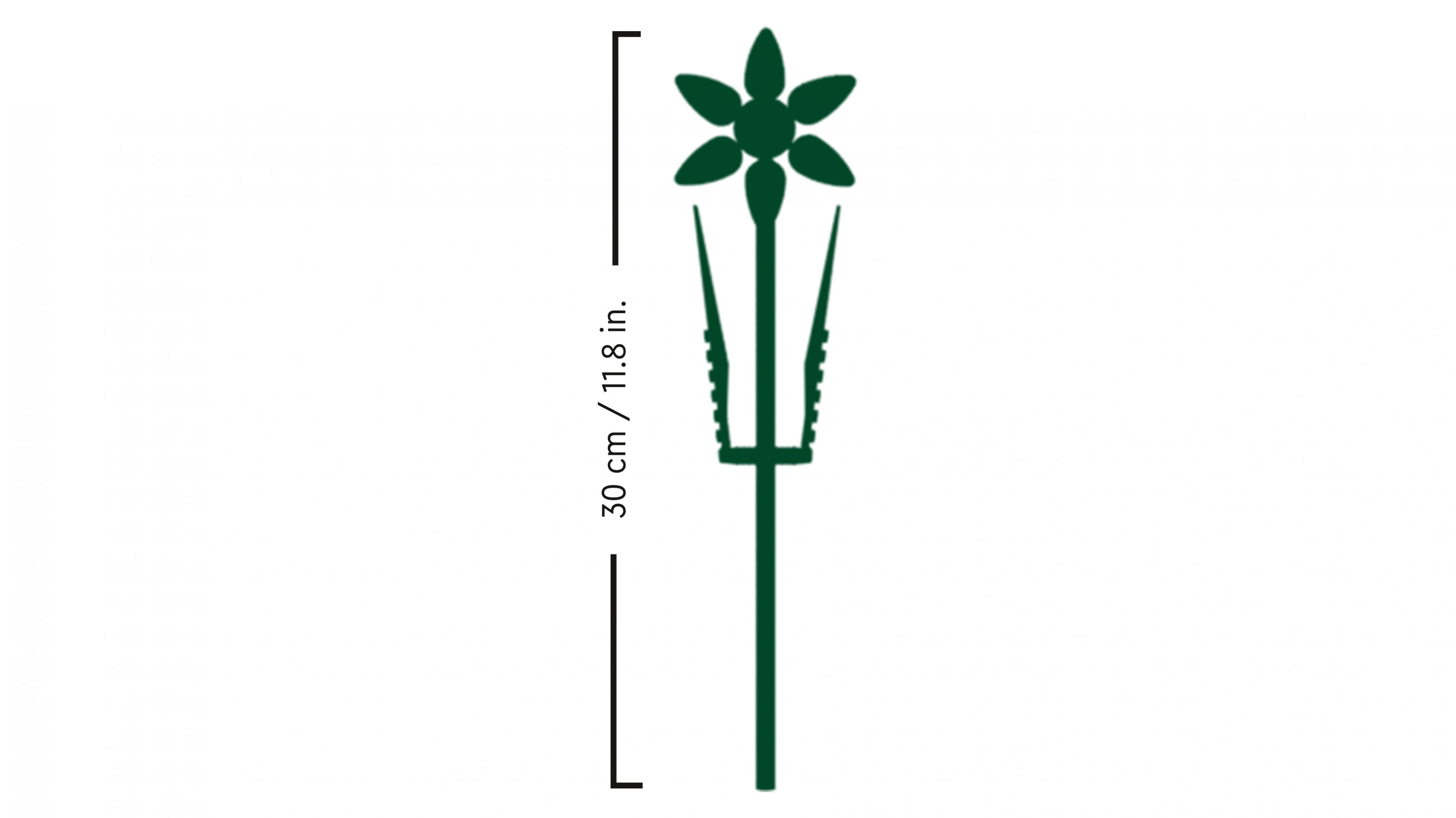Grüne Blume mit sechs Blütenblättern auf einem Stiel mit Maßen.