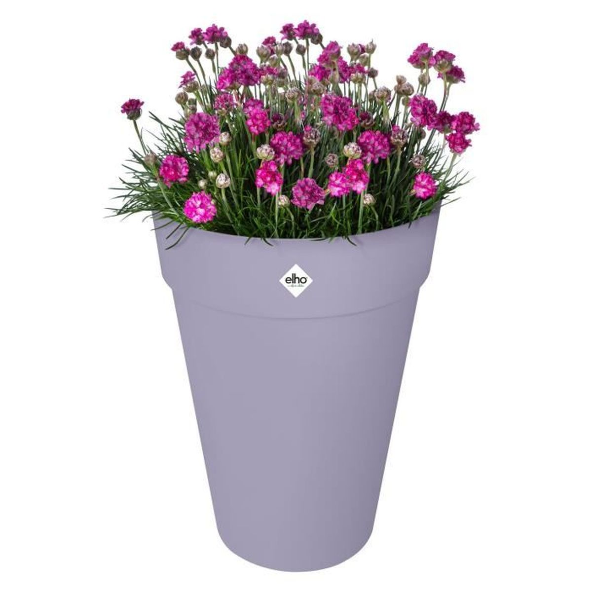 Ein grauer Topf mit rosa Blumen und grünen Blättern.