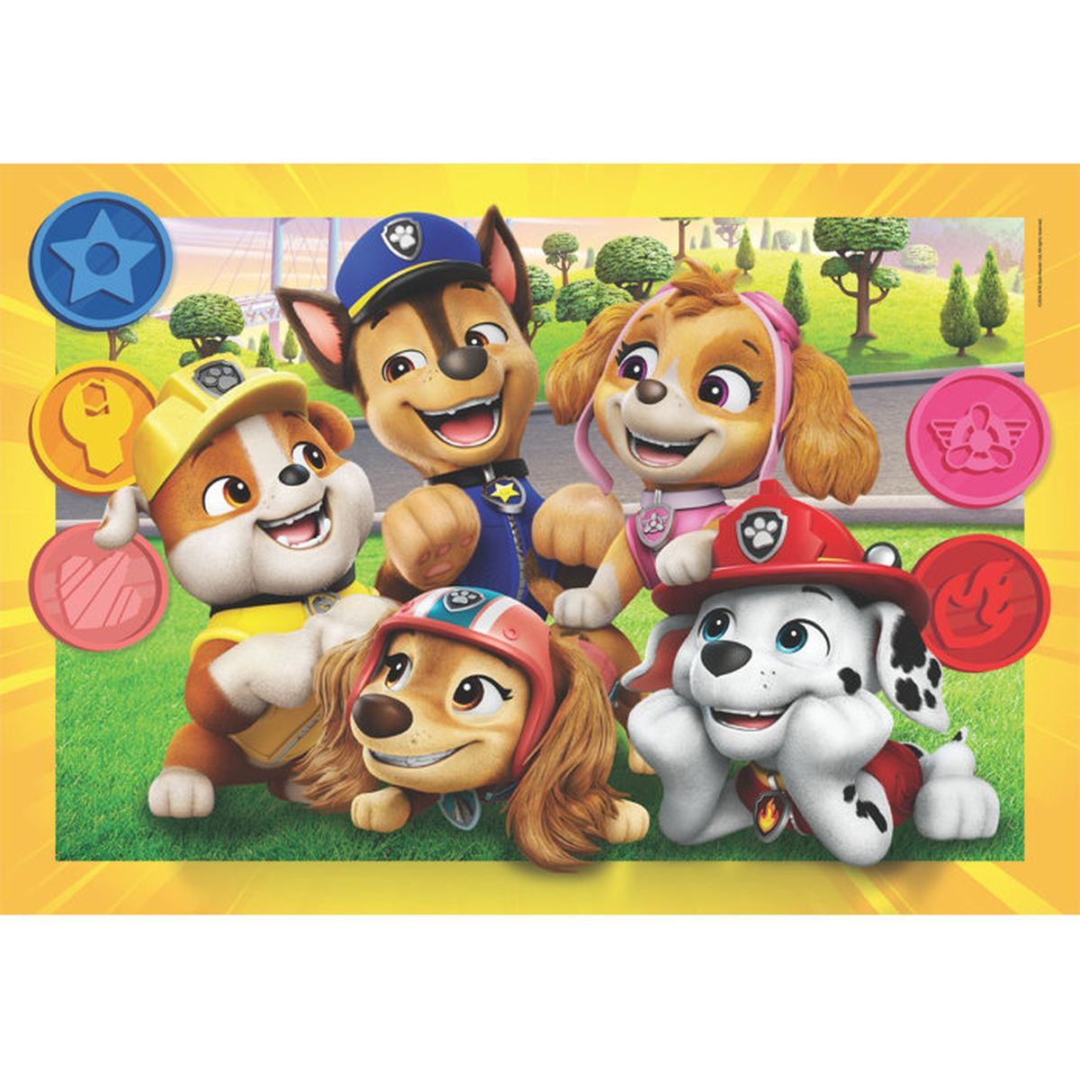 Quattro cuccioli di Paw Patrol in divisa, con distintivi, sull'erba.