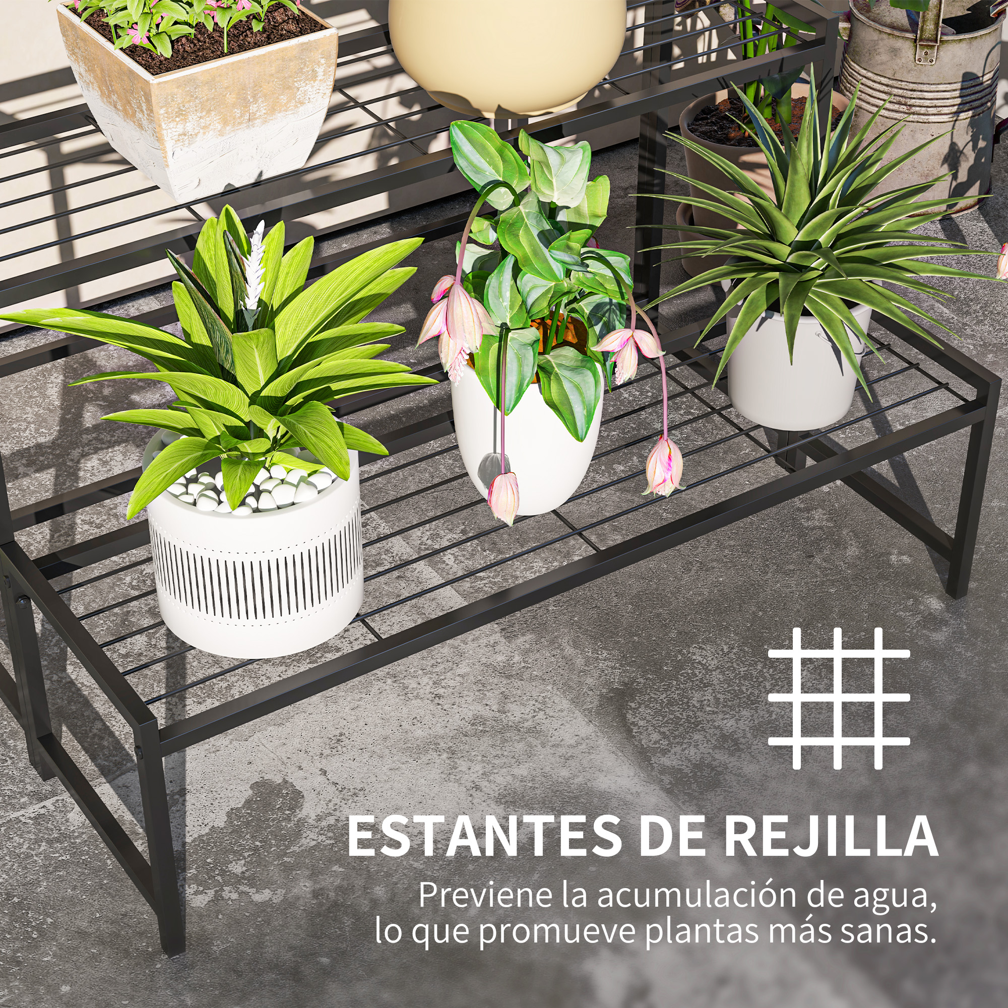 Varias plantas en macetas están sobre un estante de metal negro con base de rejilla.