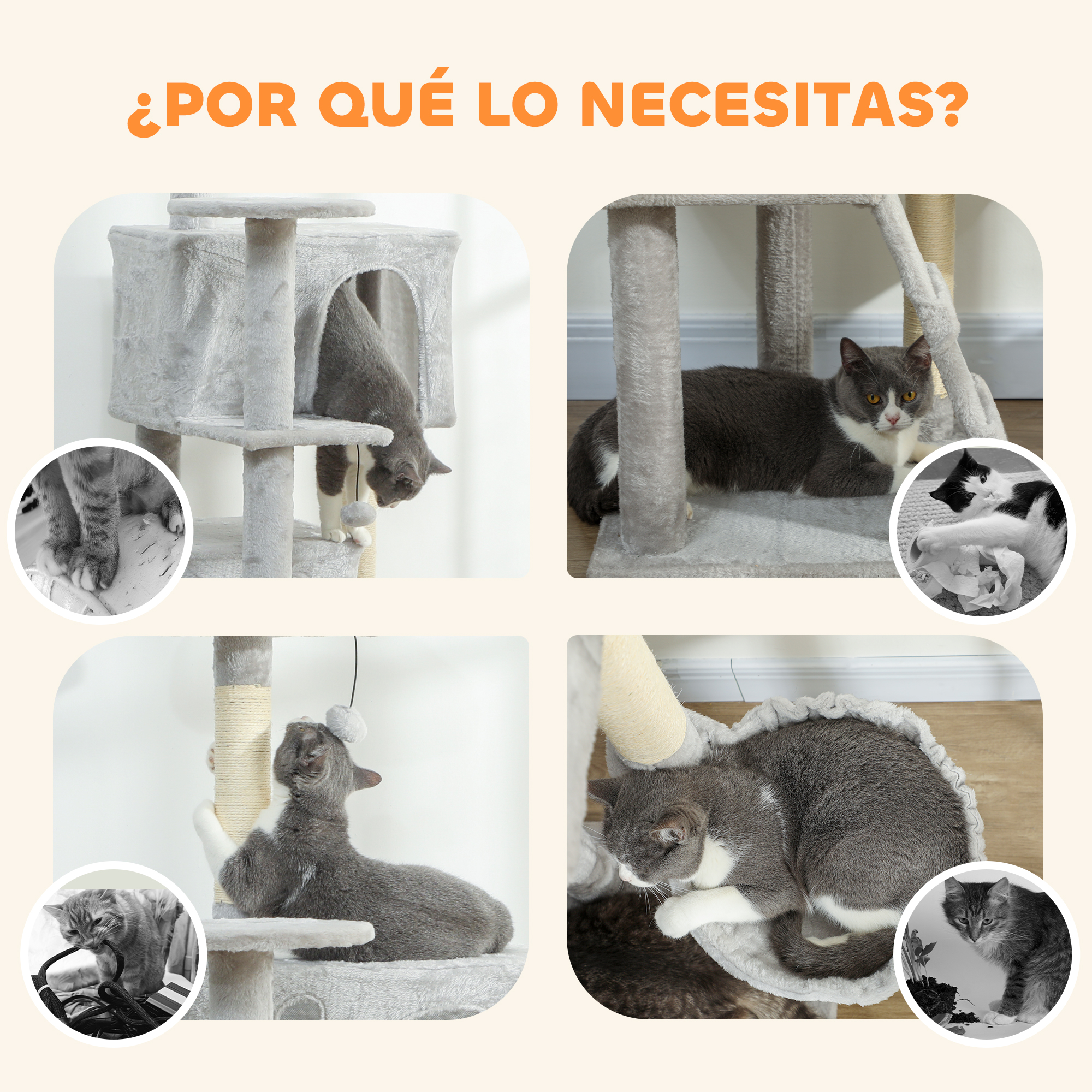Un gato gris juega con un juguete en un árbol para gatos. Se ven varios gatos.