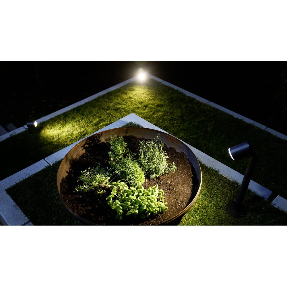 Una jardinera redonda de metal con hierbas al aire libre, iluminada por varios focos.