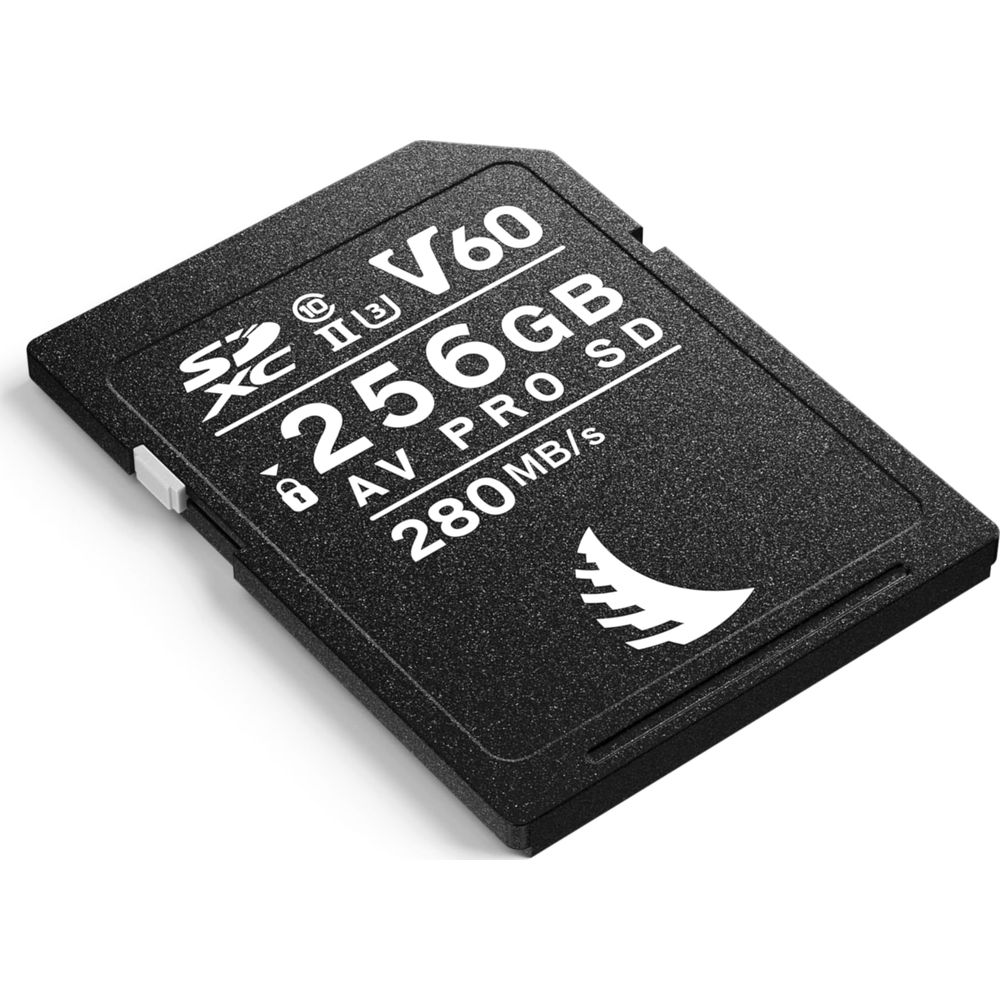 Schwarze SDXC-Speicherkarte mit 256 GB und V60-Klassifizierung.