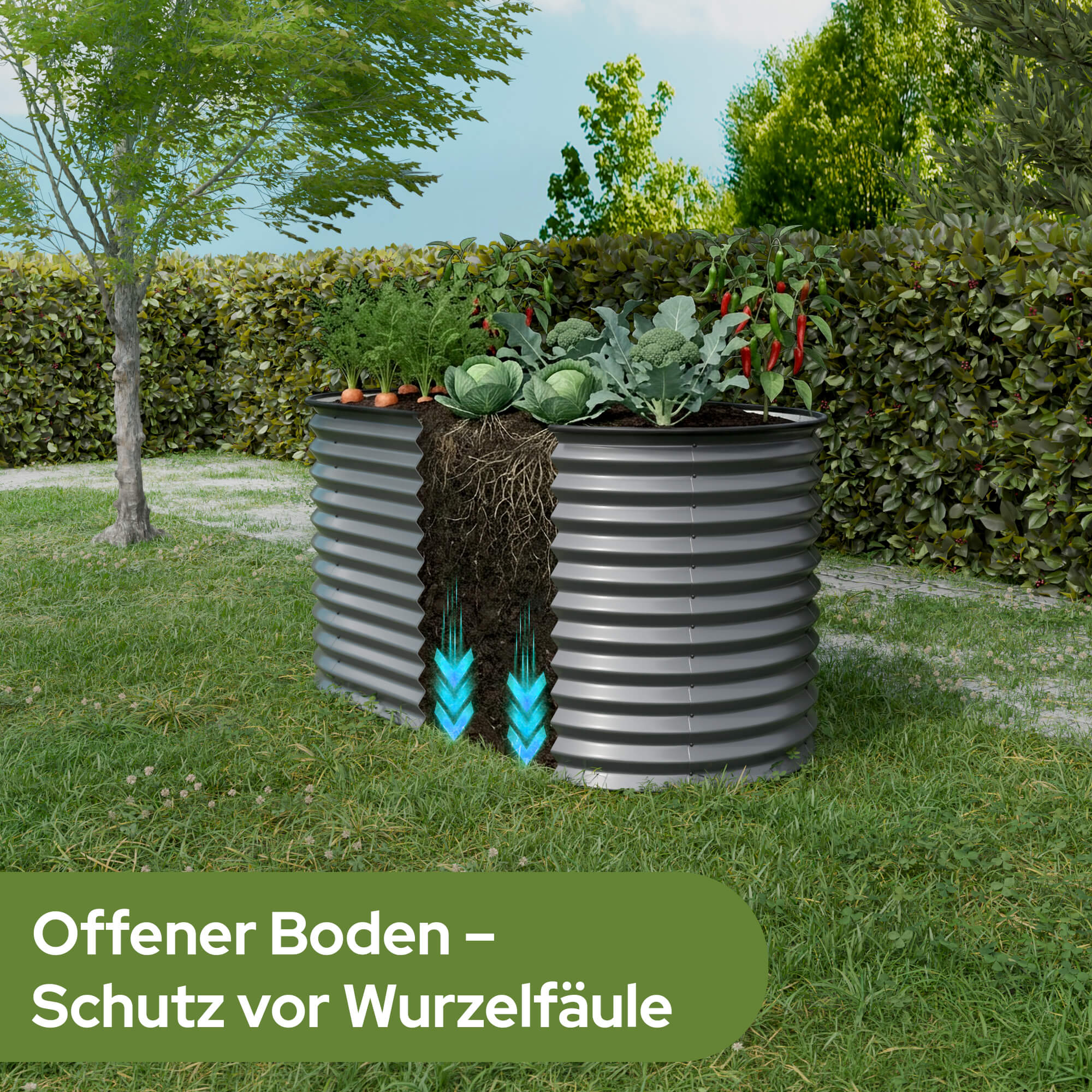 Hochbeet mit Wurzelwerk und Drainagepfeilen, umgeben von Grünflächen.
