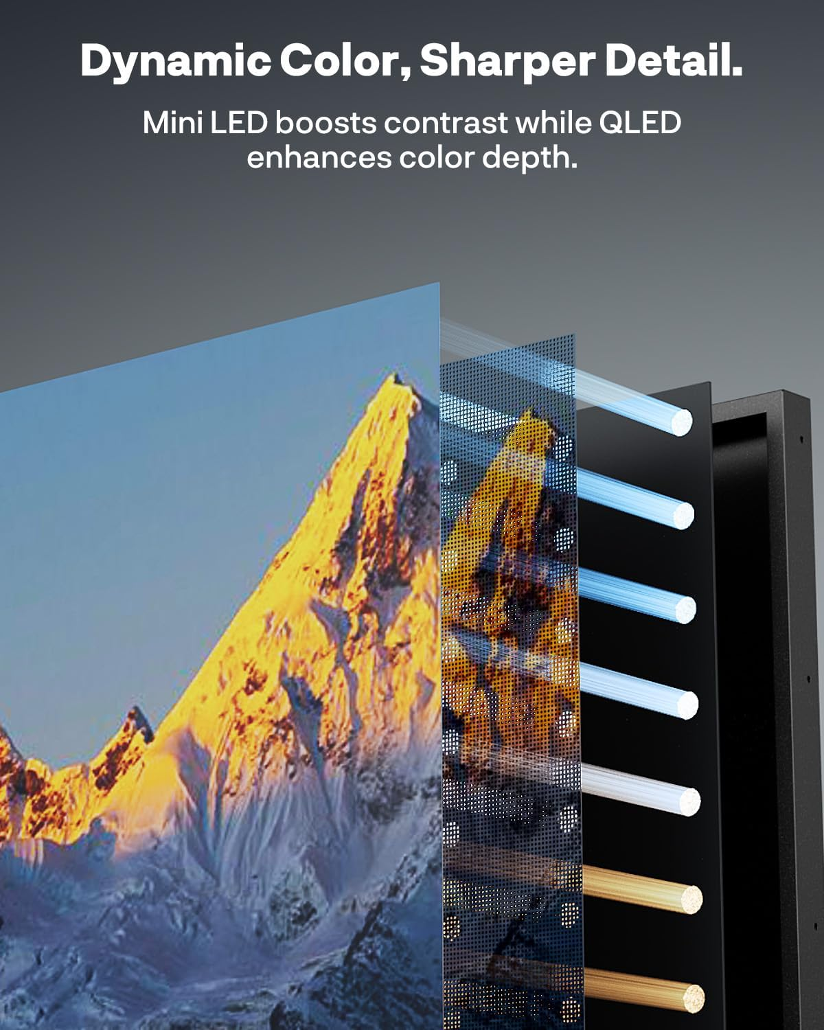 Bildschirmtechnologie: Mini-LED und QLED für dynamische Farben und Details.