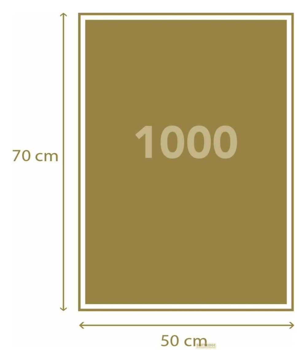 Złoty prostokątny obszar z cyfrą 1000 pośrodku. Wymiary: 70 cm x 50 cm.