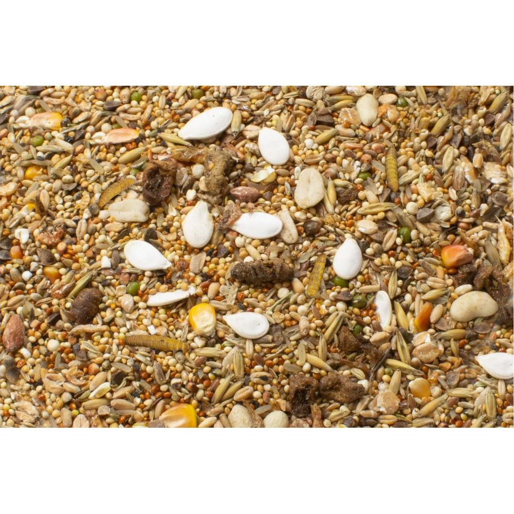 Nahaufnahme von Vogelfutter mit Samen, Körnern, weißen Kürbiskernen und braunen Stückchen.