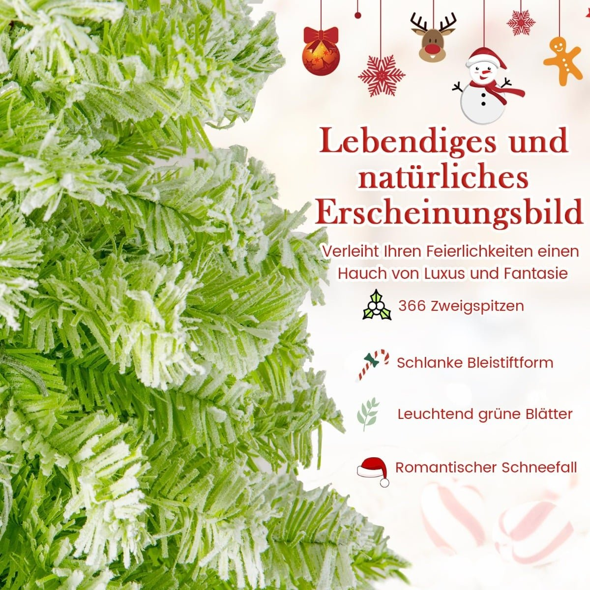Groene kerstboom met sneeuweffect, tekst over uiterlijk en kenmerken.