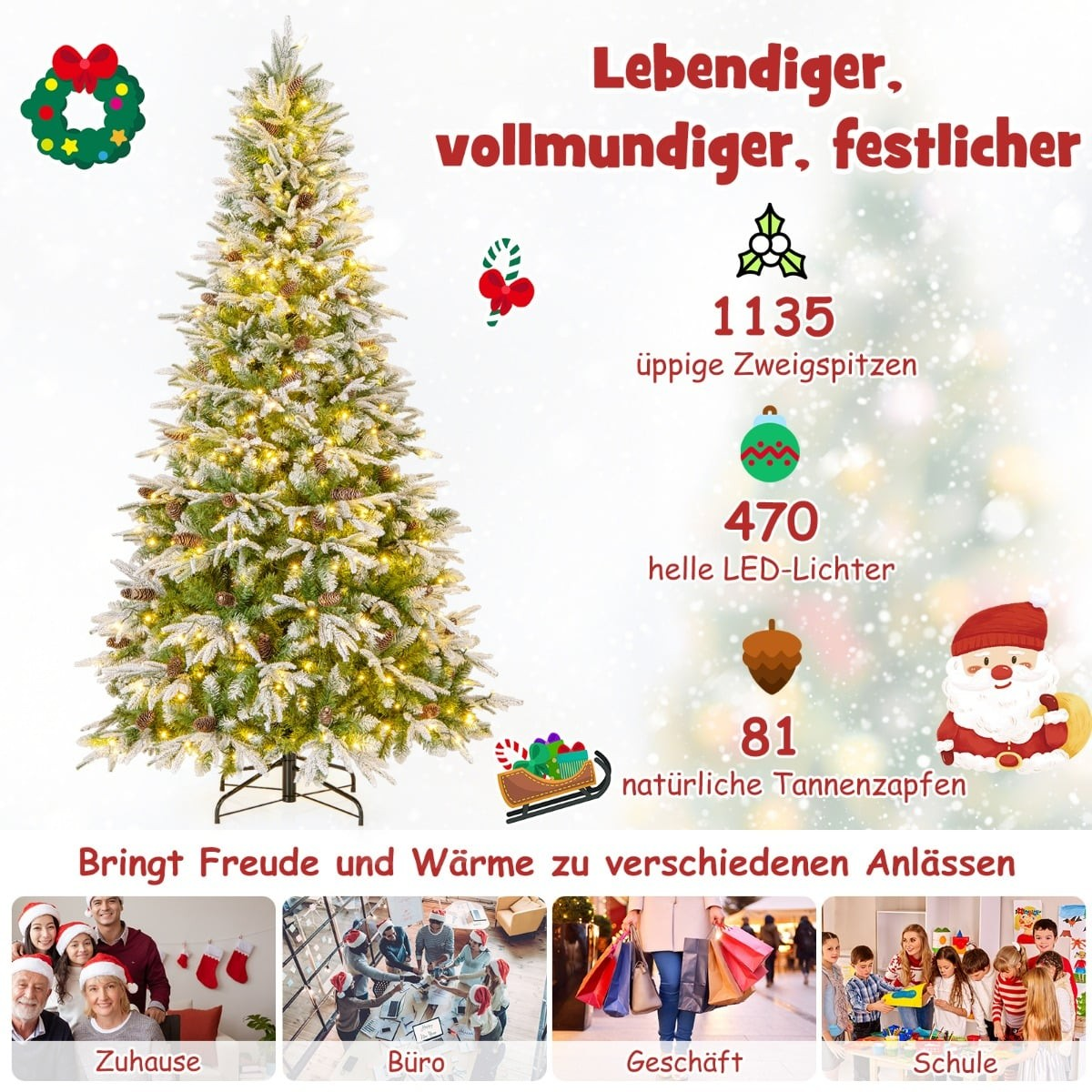 Een versierde kerstboom met lampjes en dennenappels. Tekst beschrijft kenmerken.
