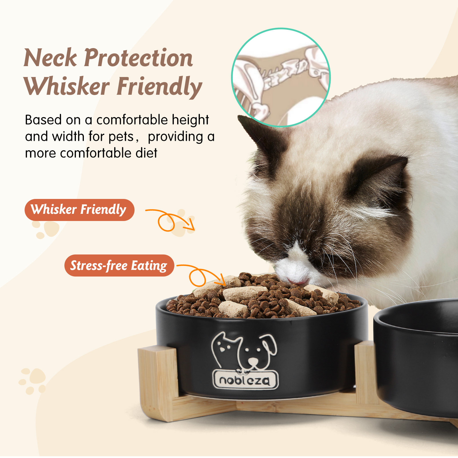 Gato comiendo de un cuenco elevado, con protección para el cuello y diseño amigable.
