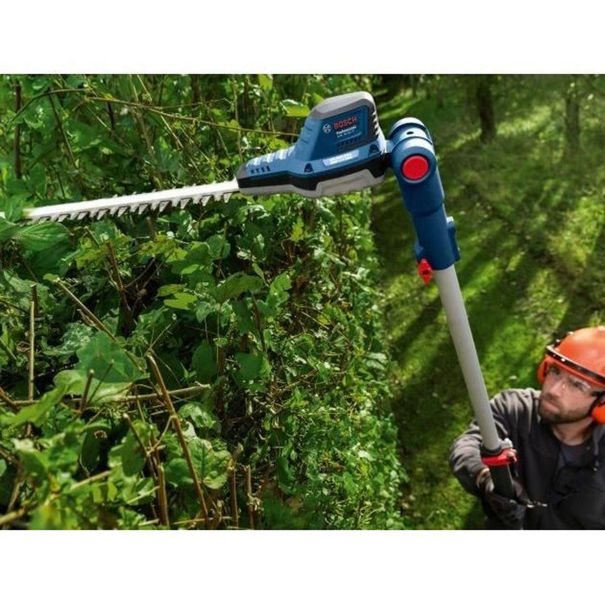 Ein Mann mit Helm trimmt eine Hecke mit einer Heckenschere, die an einem langen Stiel befestigt ist.