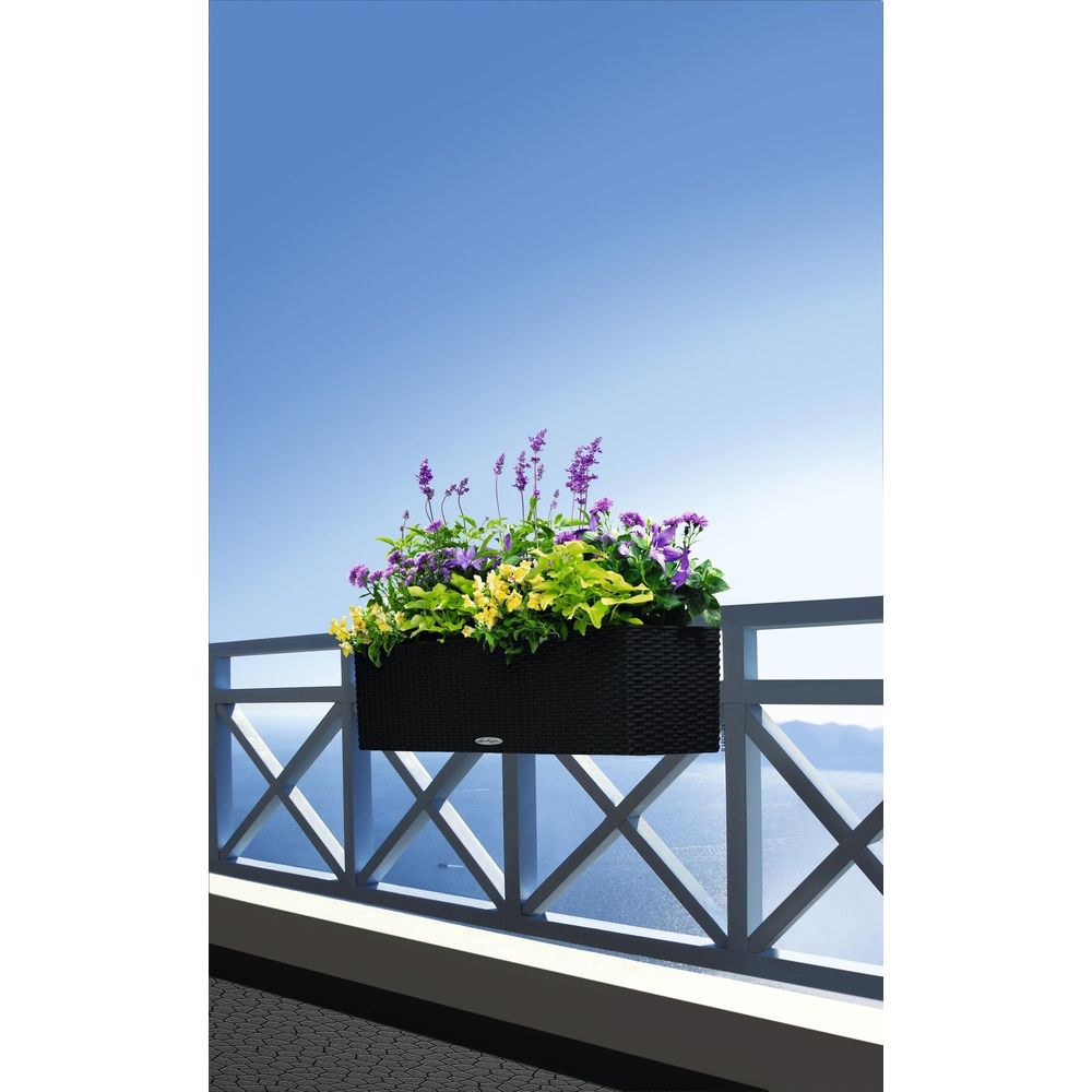 Une jardinière noire avec des fleurs violettes et jaunes sur une rambarde de balcon.