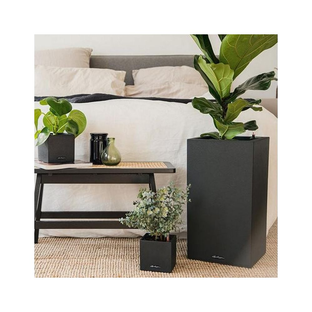 Schwarze Pflanzgefäße mit Pflanzen auf einem Teppich neben einem Bett. Ein kleiner Tisch trägt zwei Vasen.