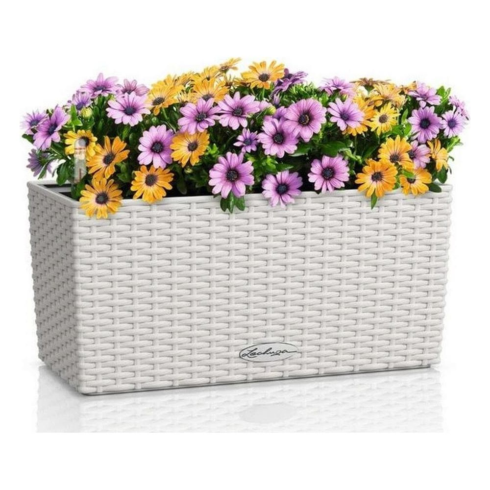 Ein weißer Pflanzkasten mit lila und gelben Blumen gefüllt.