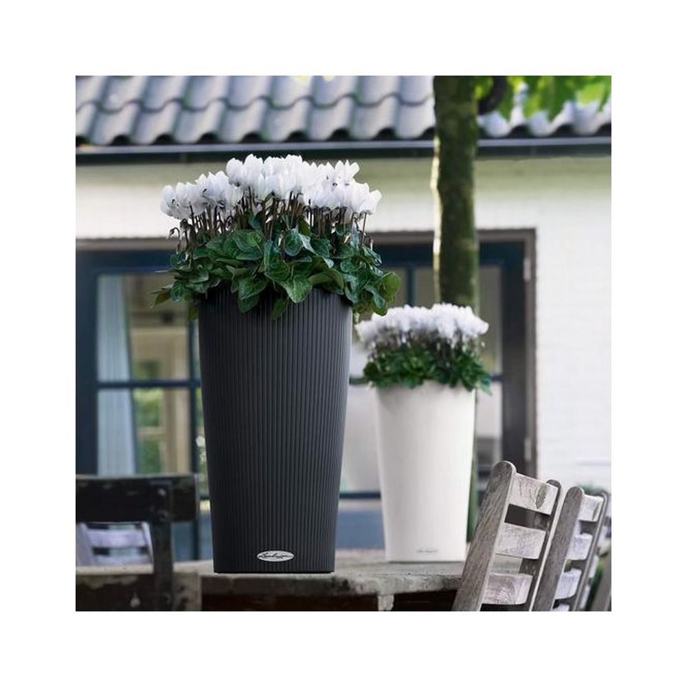 Zwei Pflanzgefäße mit weißen Blumen. Ein schwarzes und ein weißes.