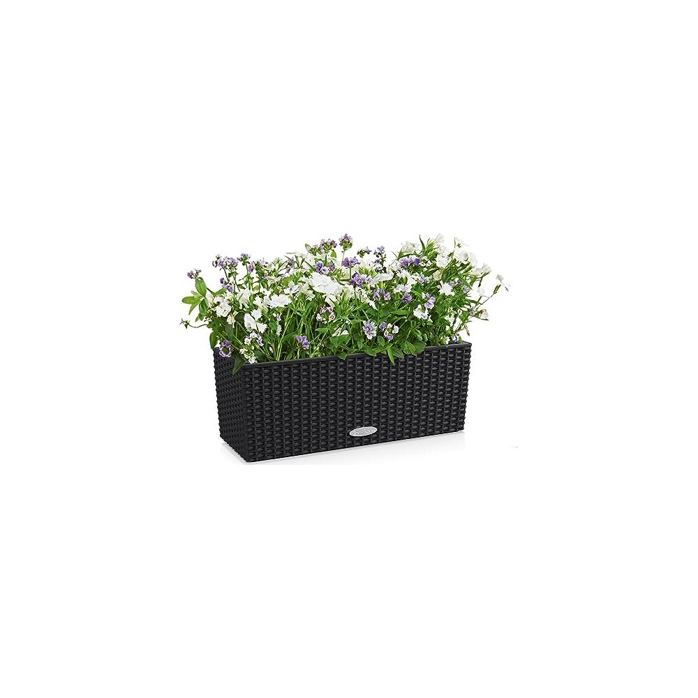 Schwarzer Rechteck Pflanzkasten mit weißen und lila Blumen auf weißem Hintergrund.