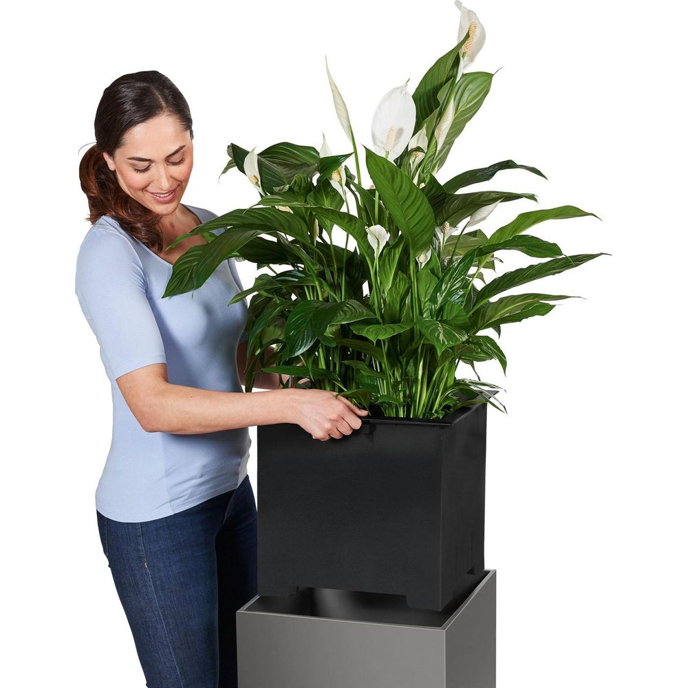 Eine Frau in Jeans und blauem Oberteil kümmert sich um eine große Pflanze im schwarzen Topf.
