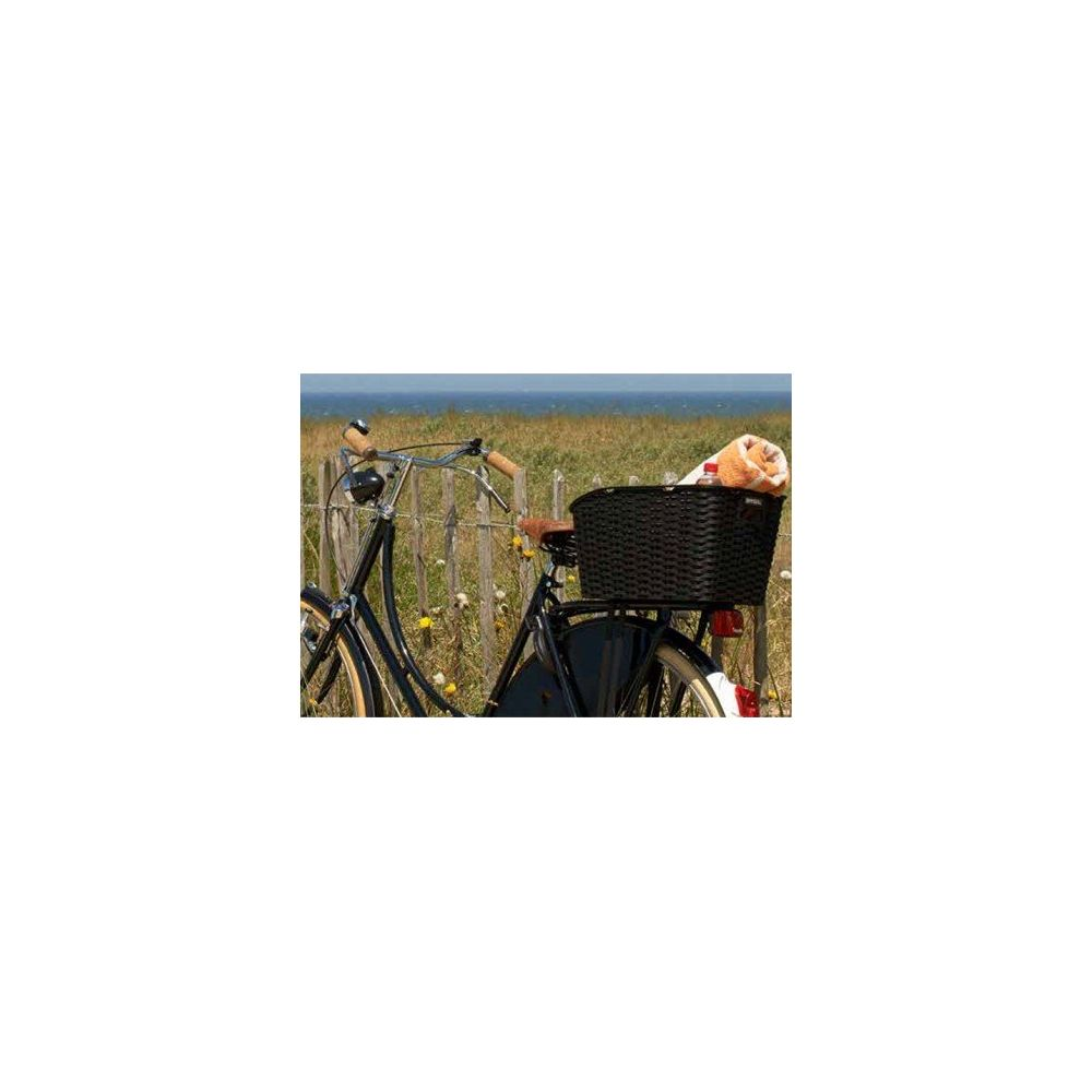 Un vélo noir avec un panier contenant une couverture se tient dans un champ.