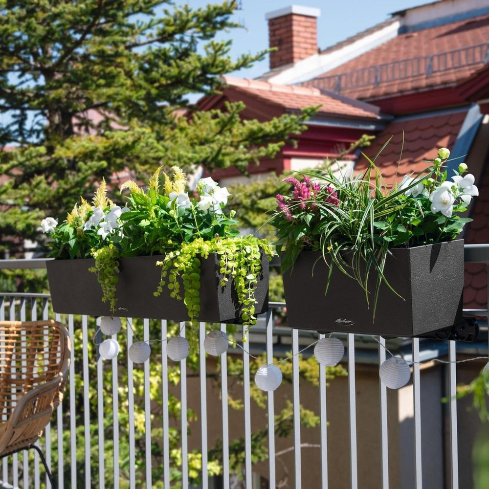 Zwei dunkle Blumenkästen mit weißen und pinken Blumen auf einem Balkongeländer.