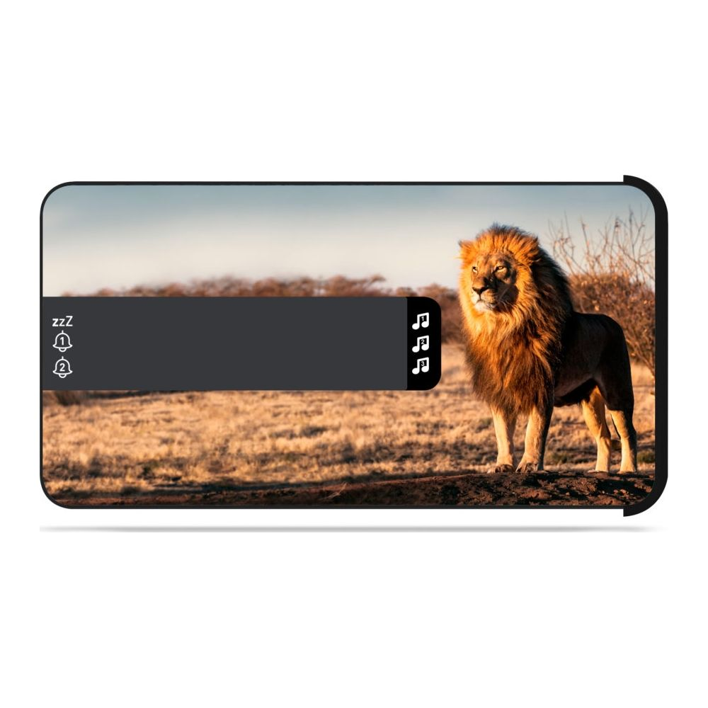 Un lion se dresse sur une colline dans la savane au coucher du soleil.