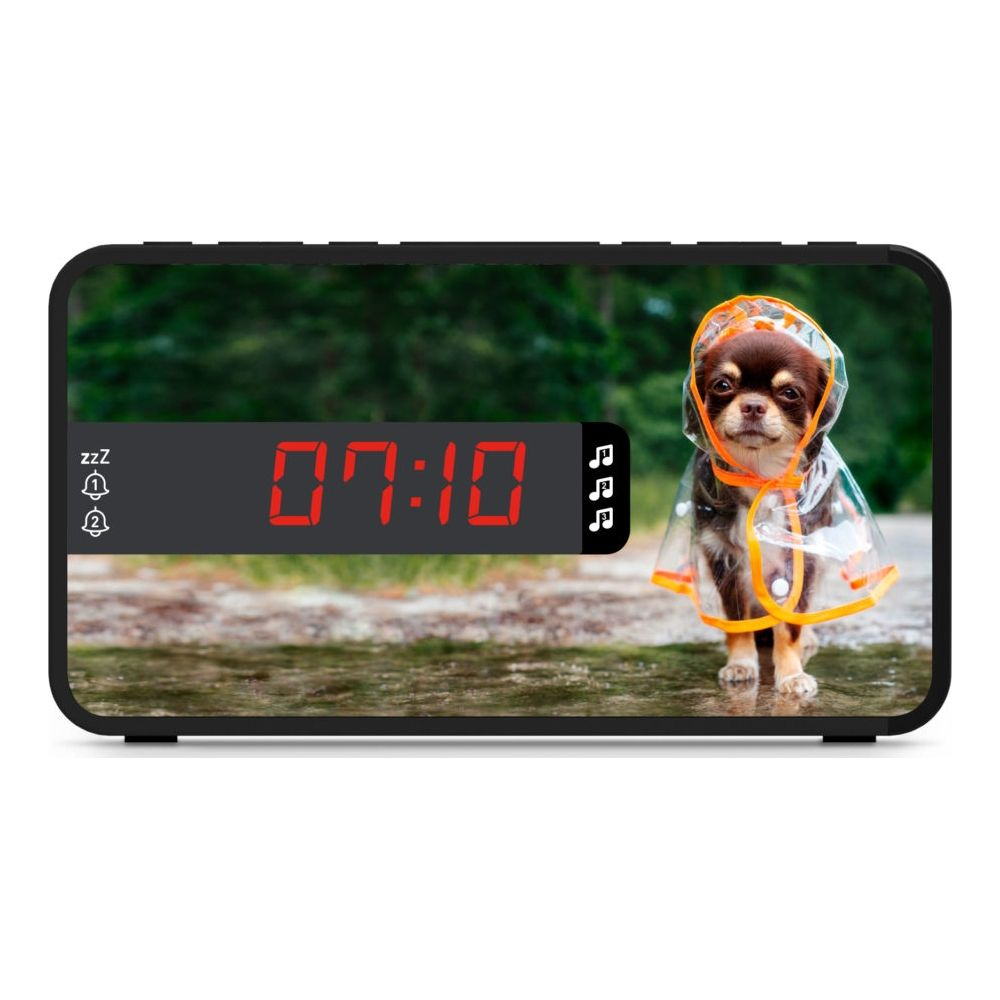Un chihuahua en imperméable devant un réveil numérique affichant 07:10.
